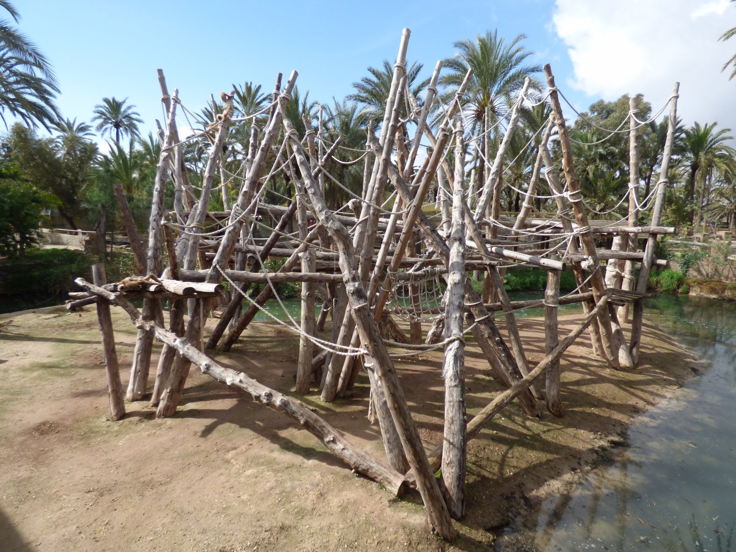 Bornean Orang-utan and Lar Gibbon island