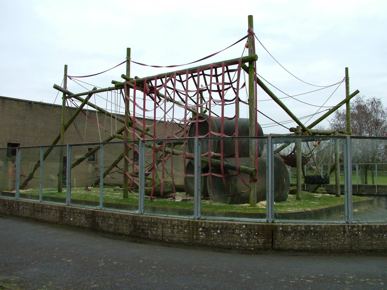 Bornean Orang-Utan exhibit at Blackpool Zoo, Feb 09