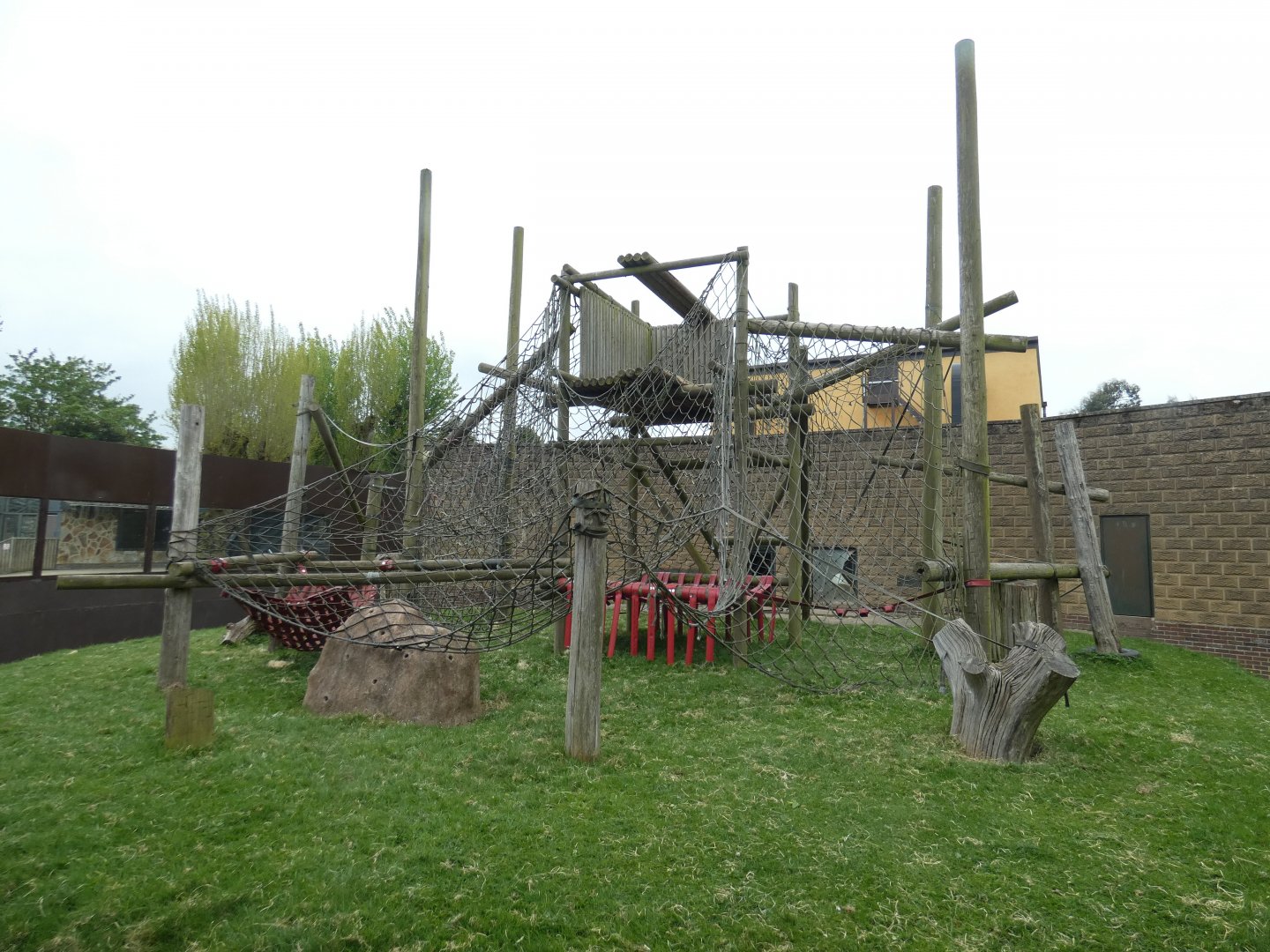 Bornean orang-utan outdoor enclosure