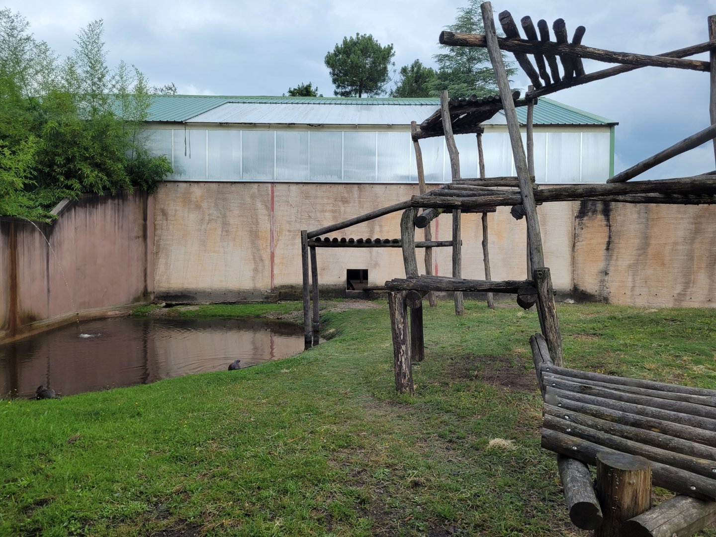 Bornean orangutan and Indochinese smooth-coated otter exhibit -Zoo du bassin d'Arcachon (2024)