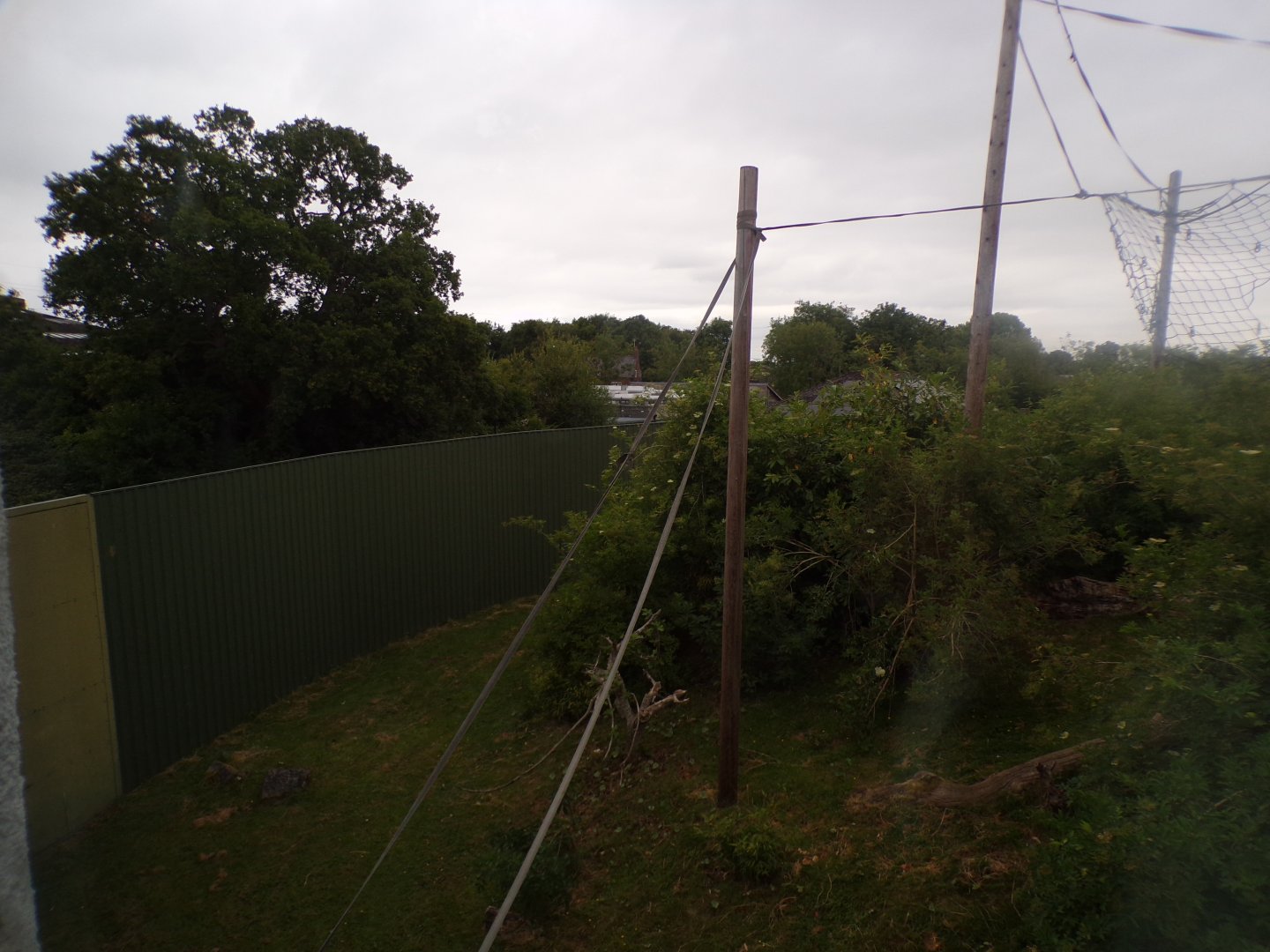 Bornean orangutan and lar gibbon enclosure 29.6.24