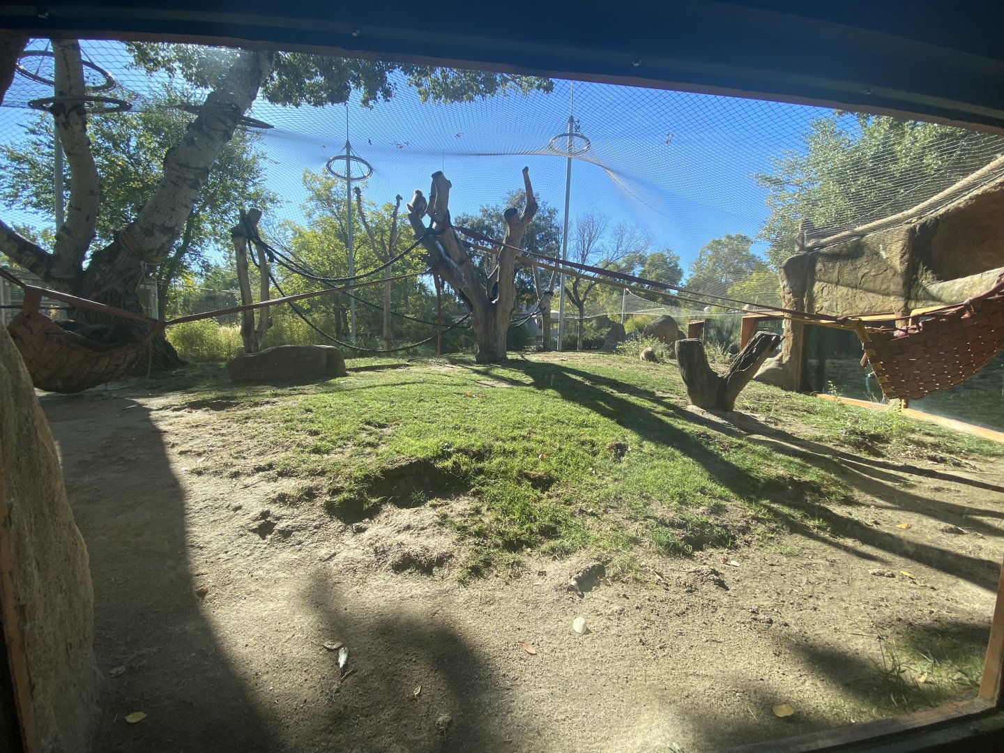 Bornean orangutan and Lar gibbon enclosure