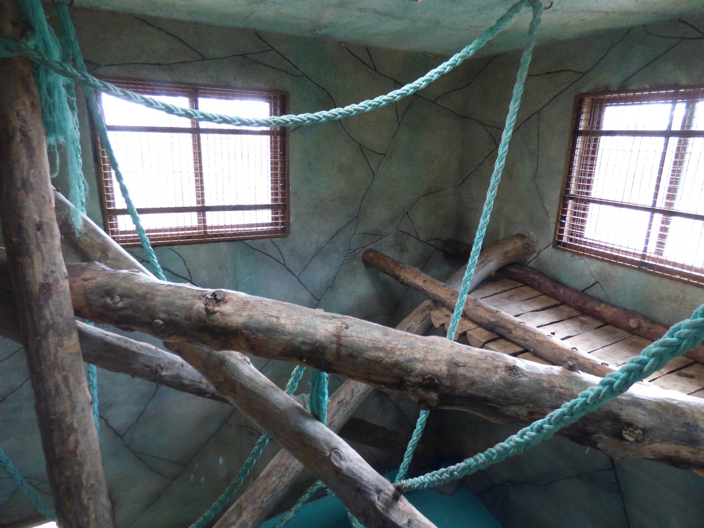 Bornean Orangutan and Lar Gibbon Indoor Enclosure
