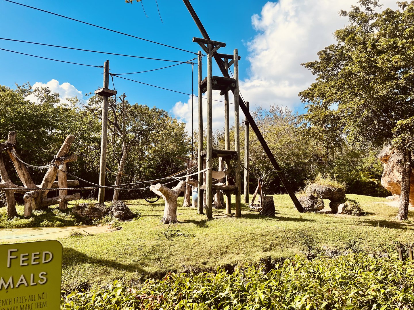 Bornean Orangutan and White-cheeked Gibbon Exhibit