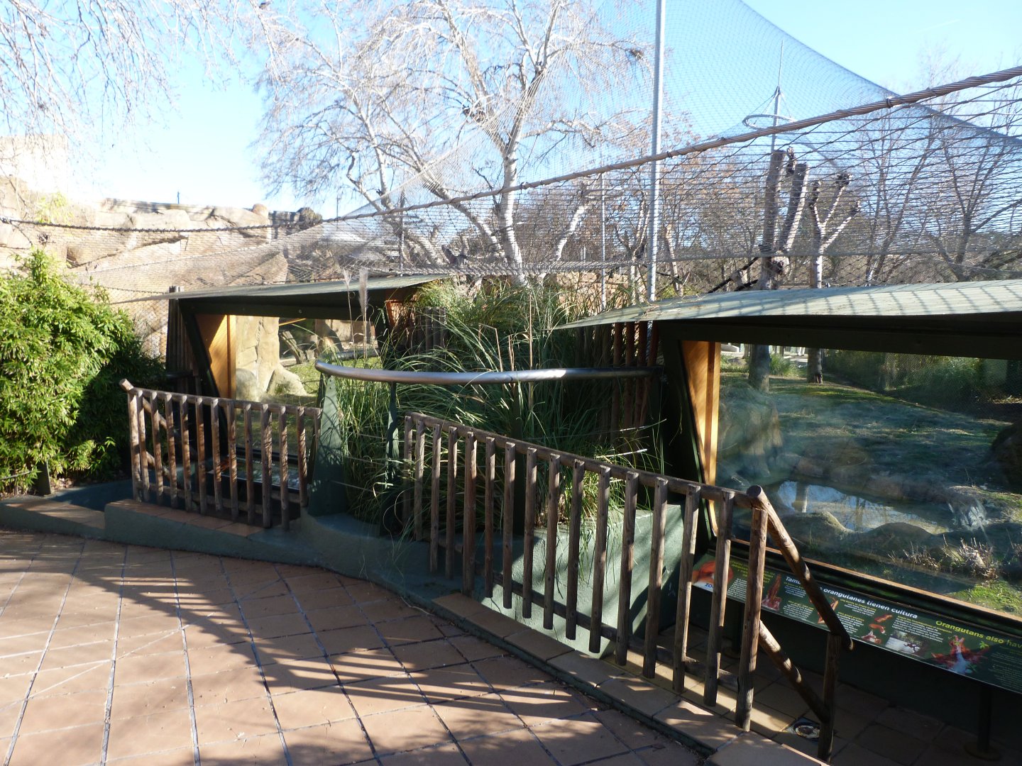 Bornean orangutan and White-handed gibbon exhibit -Zoo Aquarium de Madrid (2025)