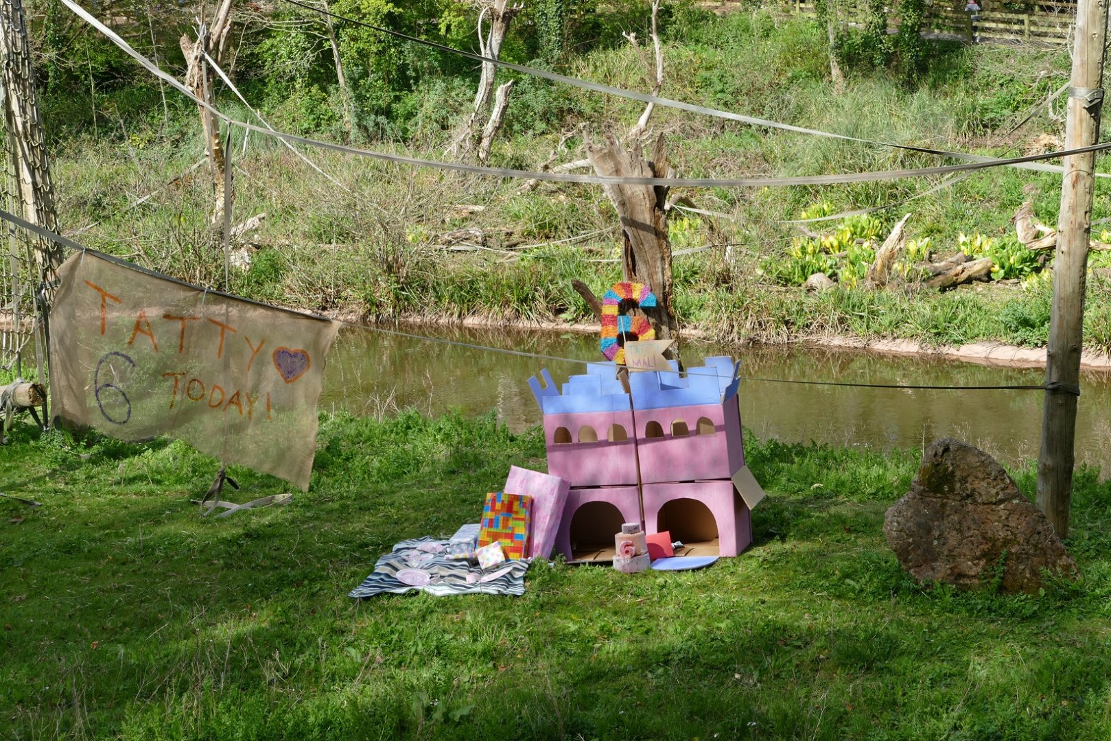 Bornean orangutan birthday, 11 April 2019