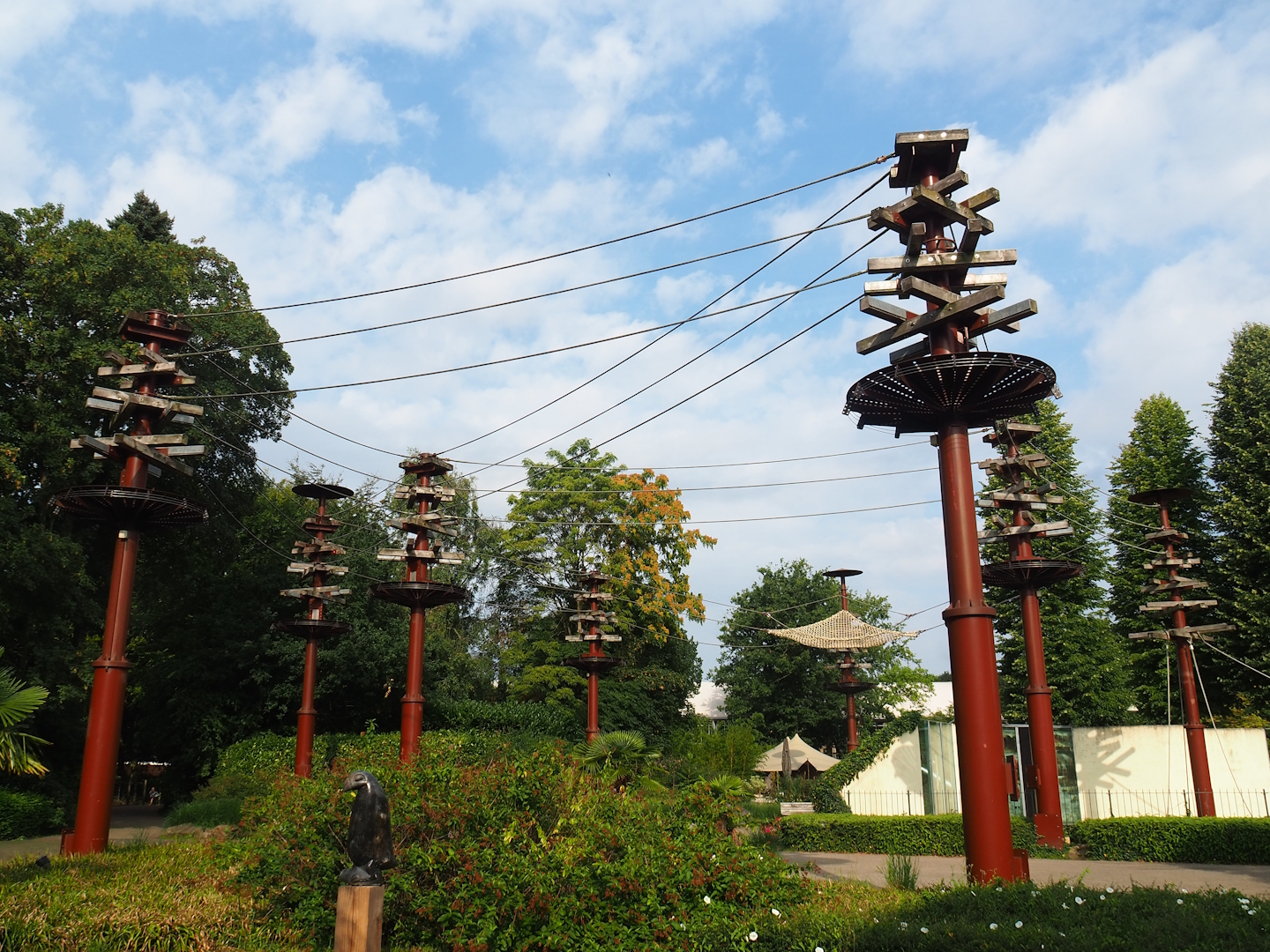 Bornean orangutan climbing structures above visitor area, 2023-08-17
