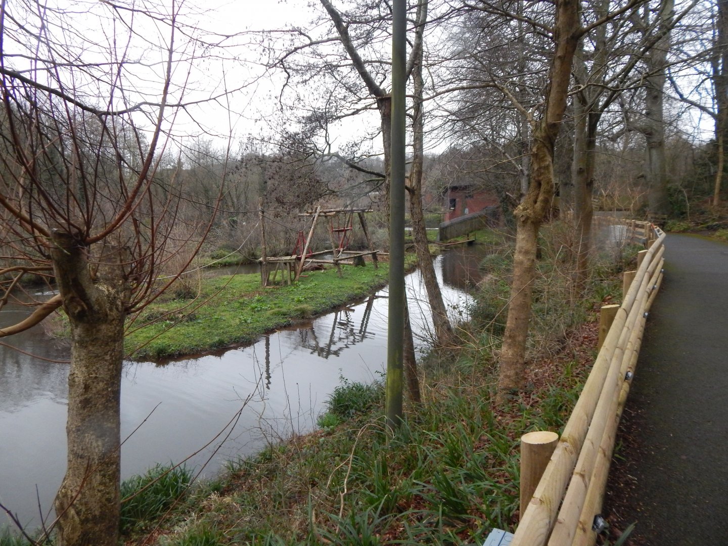 Bornean orangutan enclosure 050224
