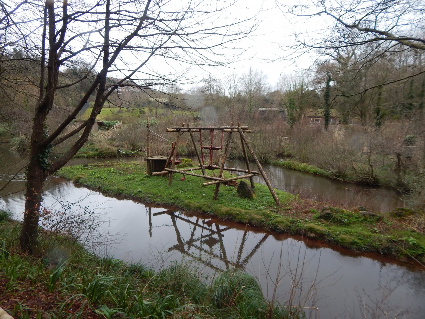 Bornean orangutan enclosure 050224