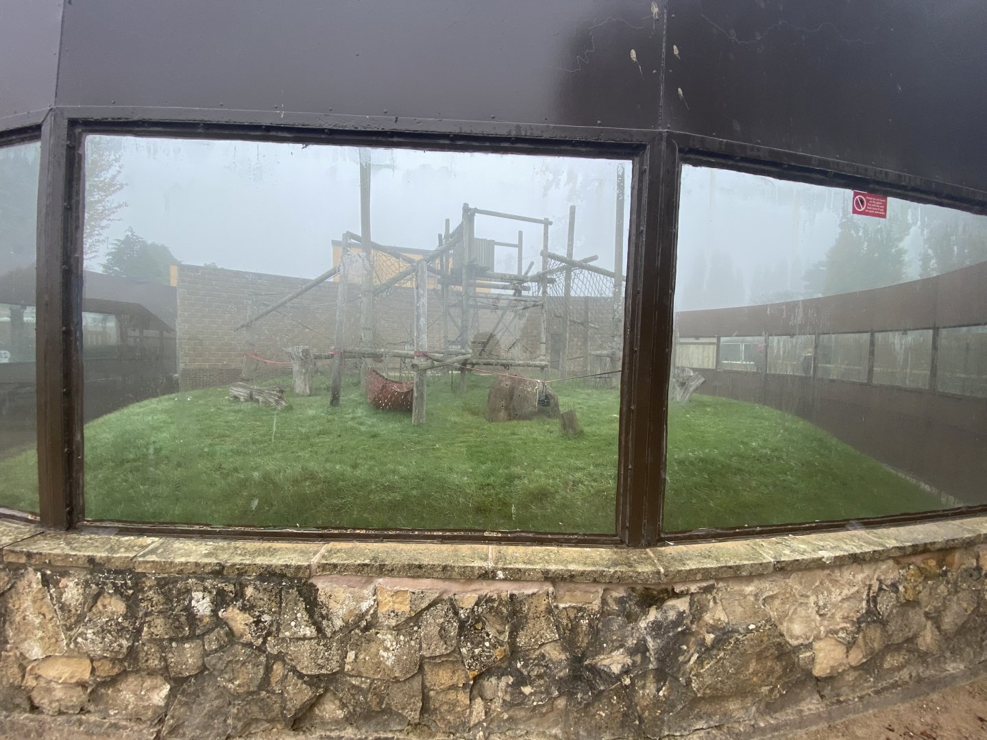 Bornean orangutan enclosure 1