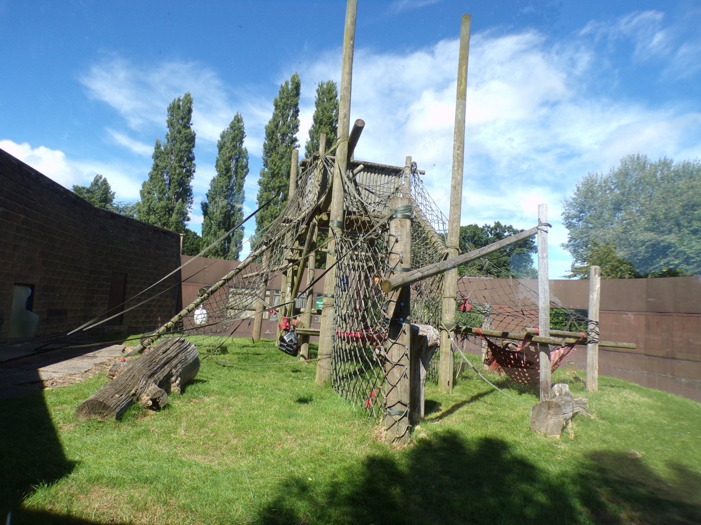 Bornean orangutan enclosure 7.7.24
