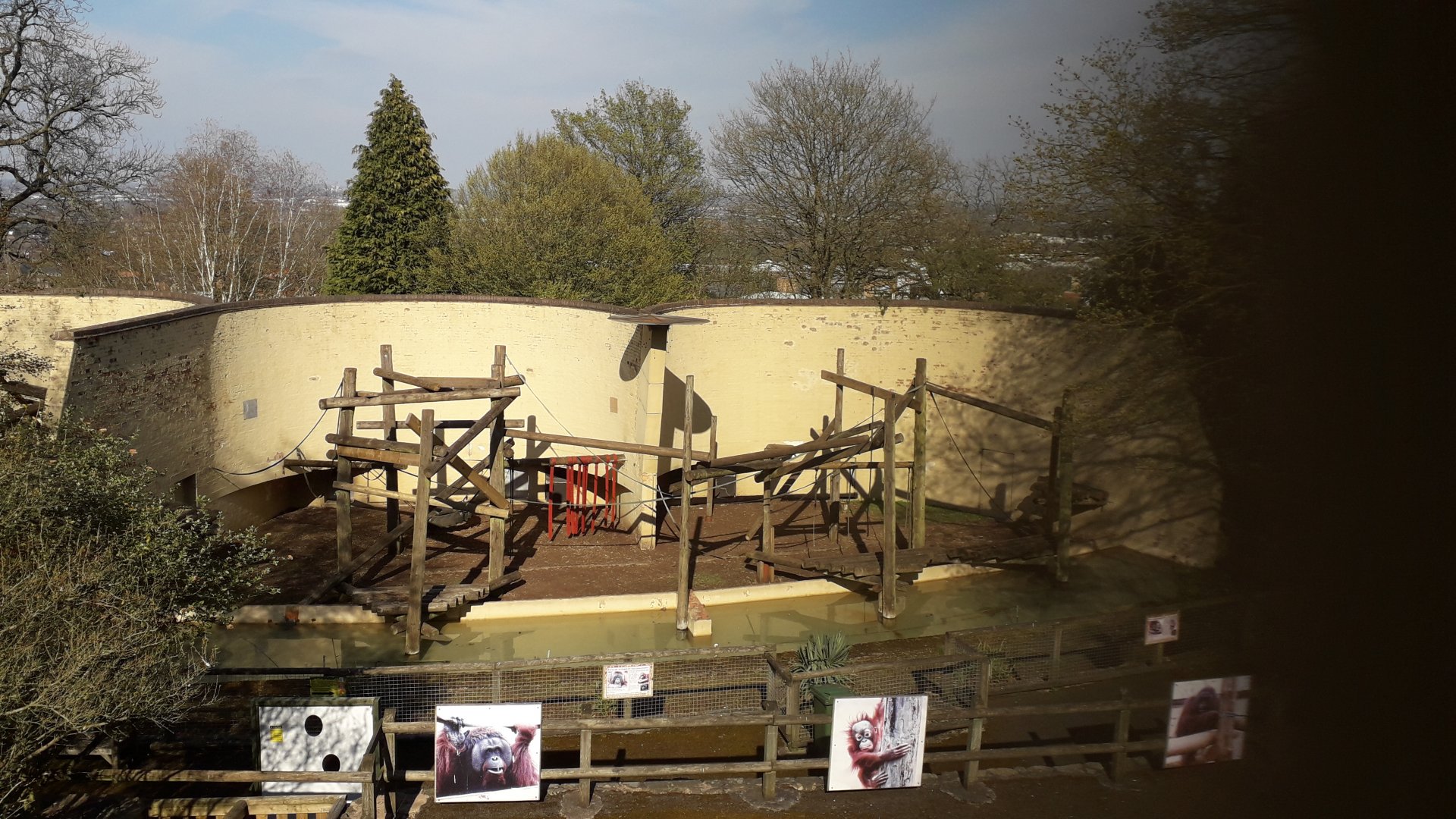 Bornean Orangutan Enclosure
