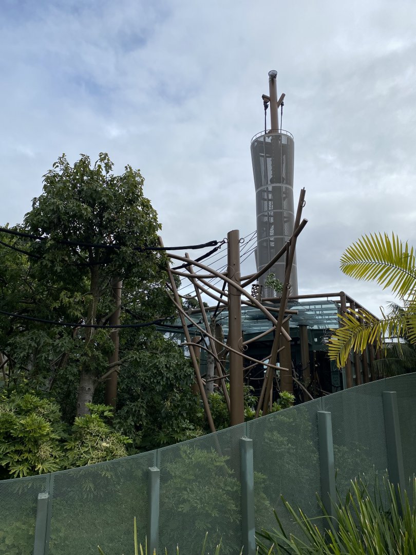 Bornean Orangutan enclosure