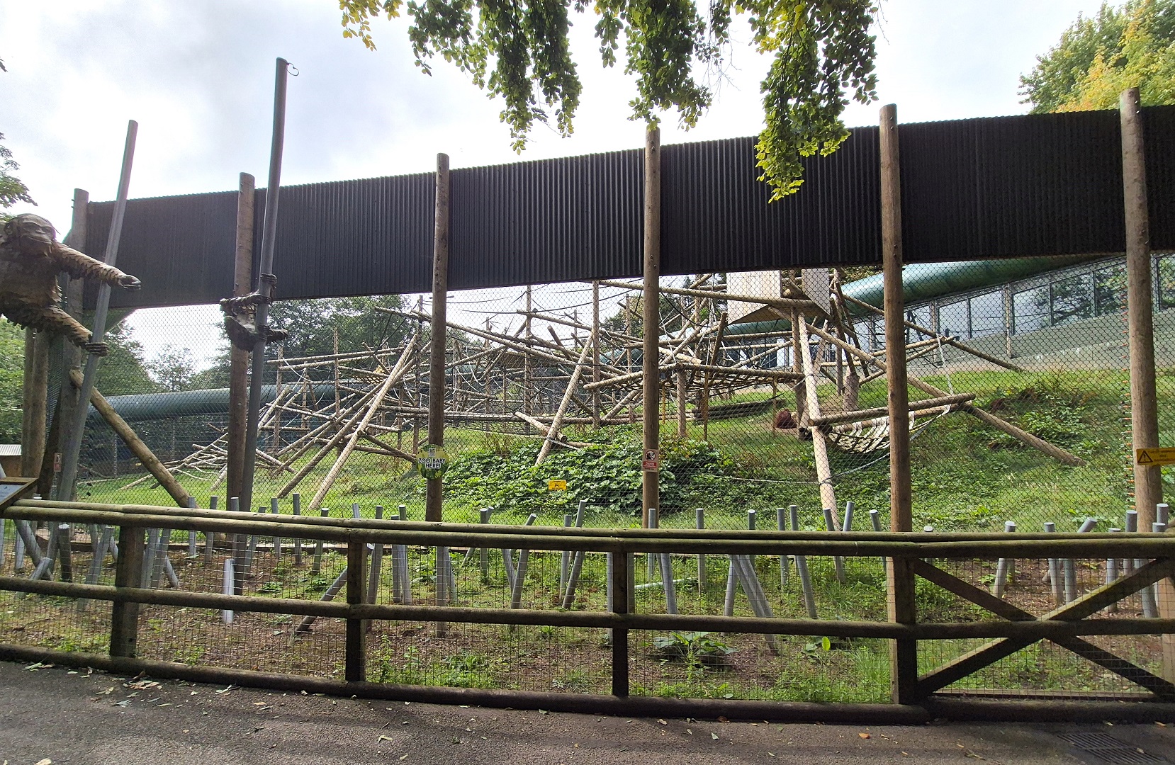 Bornean orangutan enclosure.