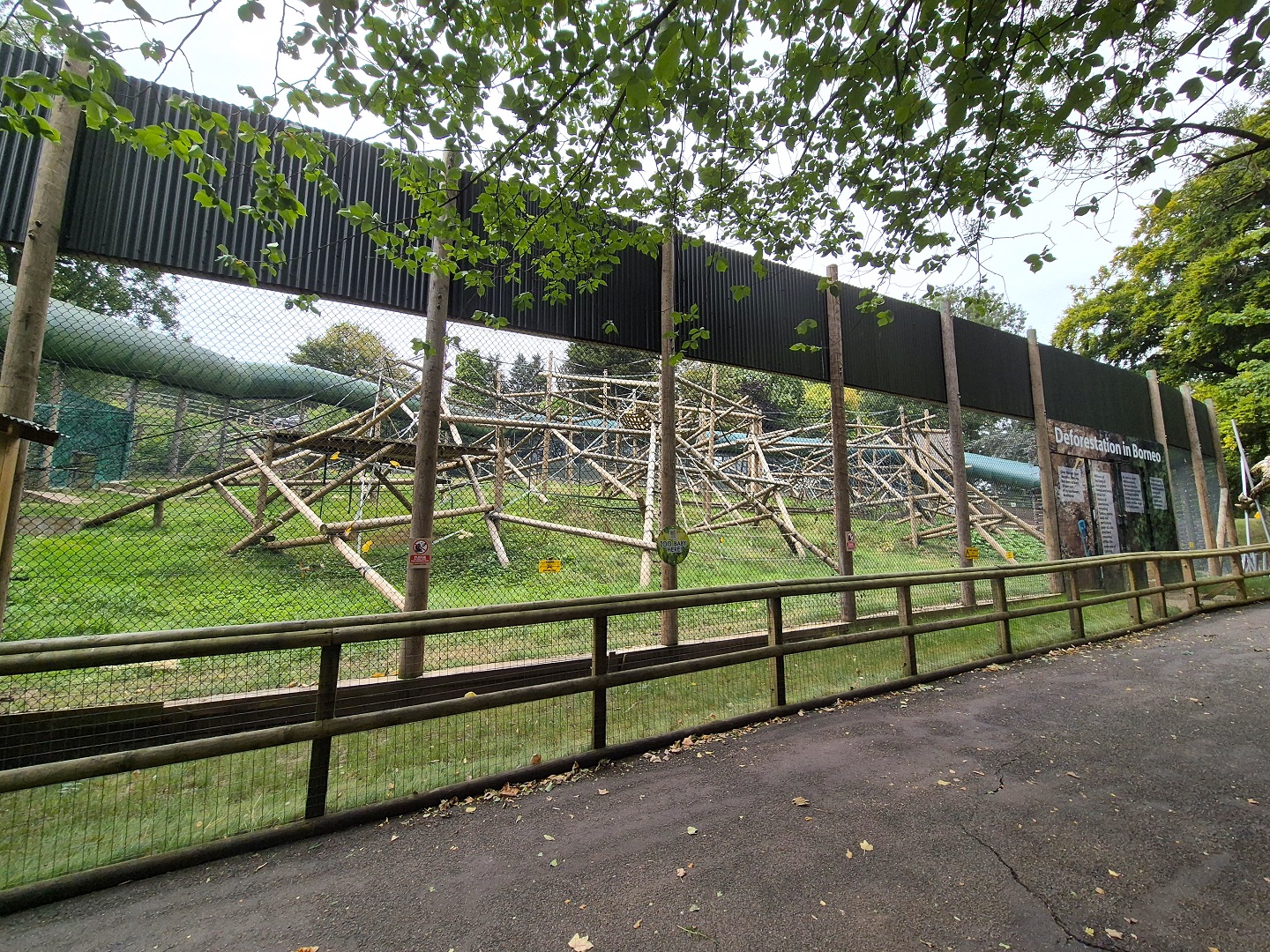Bornean orangutan enclosure.