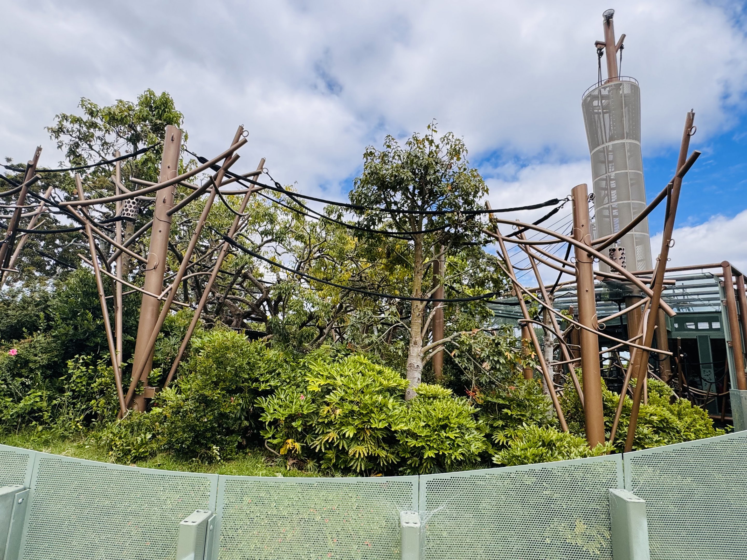 Bornean orangutan enclosure