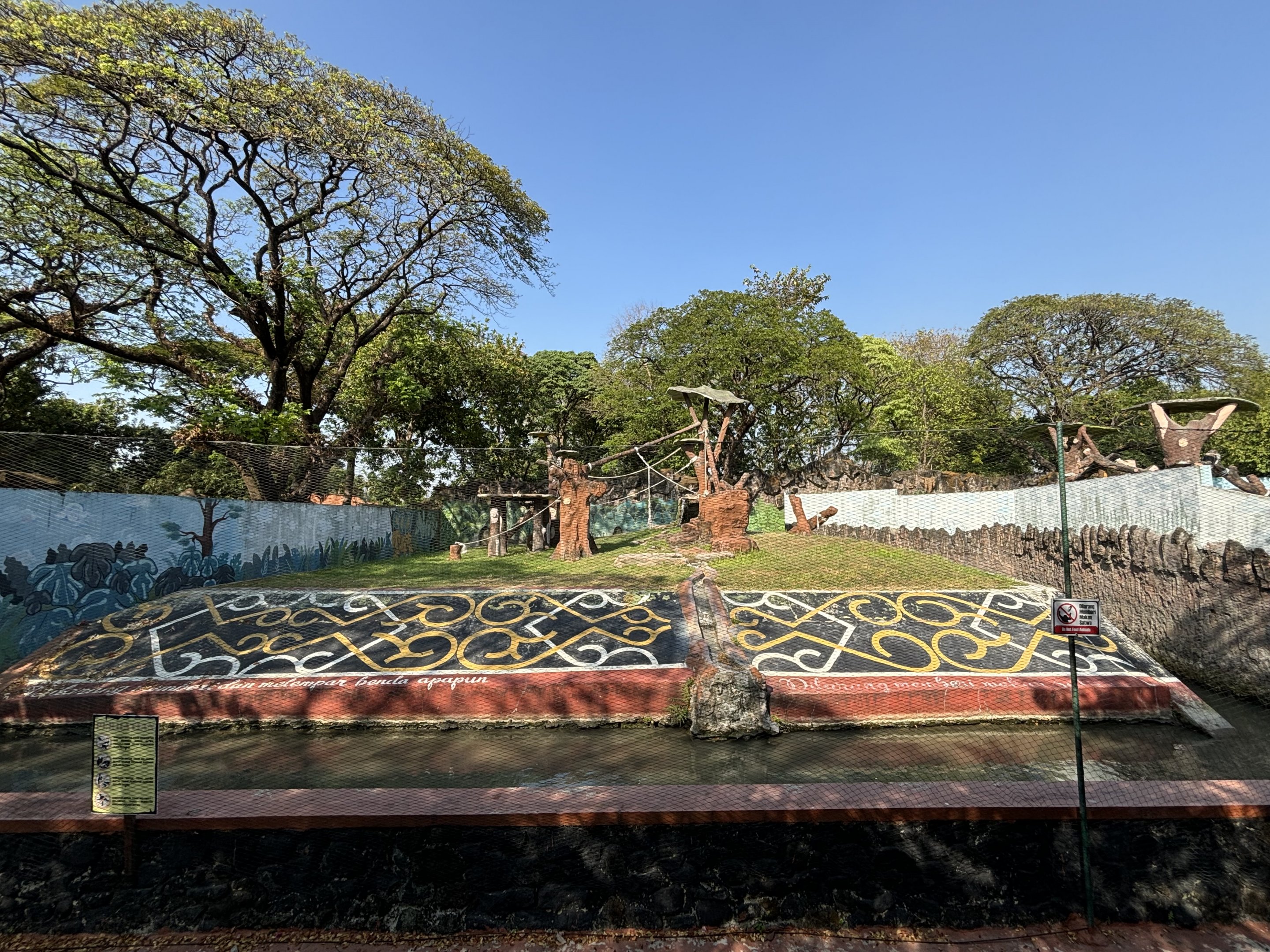 Bornean Orangutan Exhibit #1