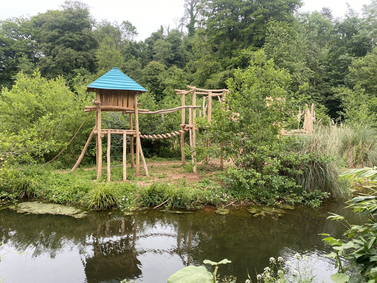 Bornean orangutan exhibit 130624