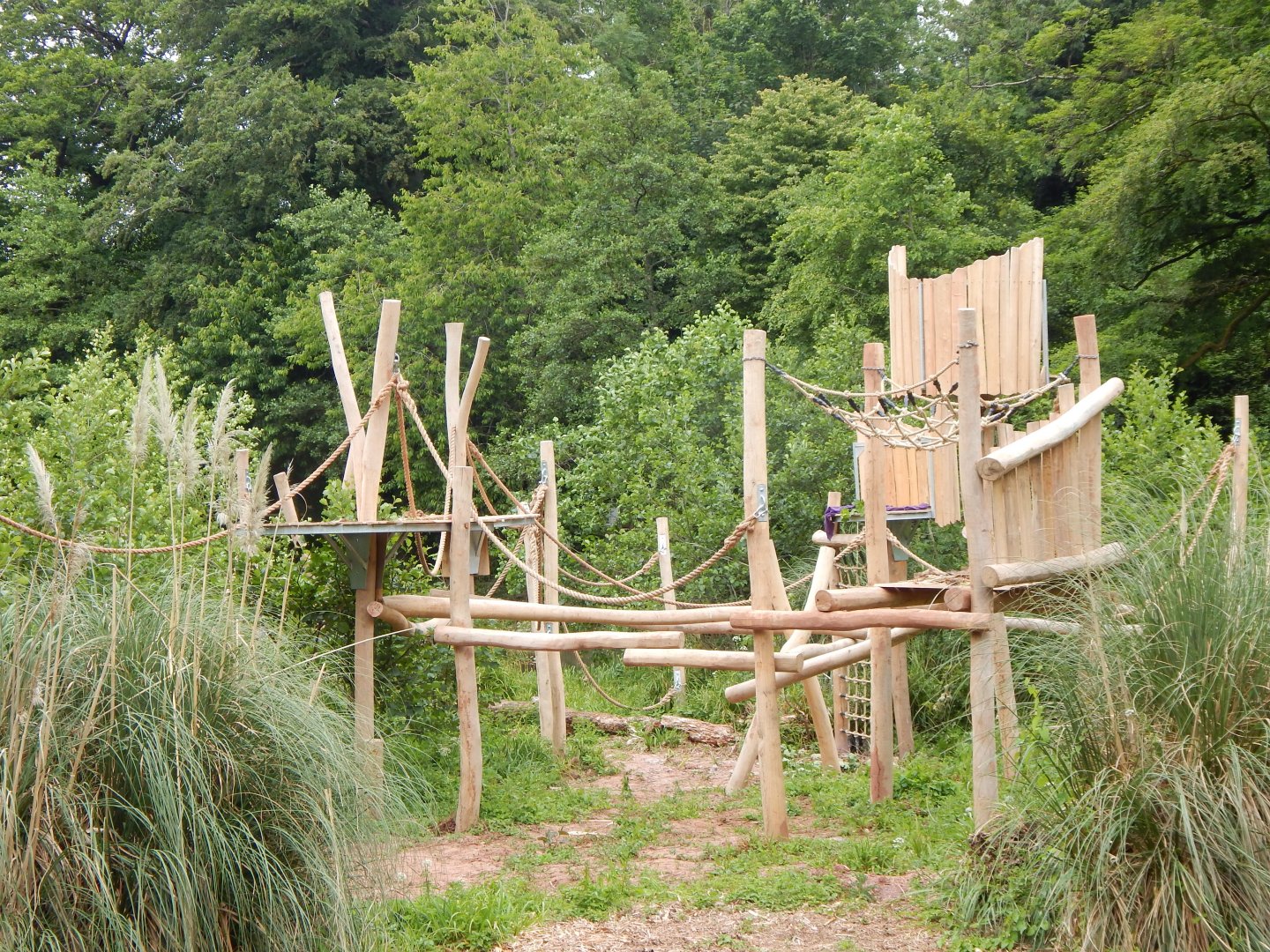 Bornean orangutan exhibit 130624