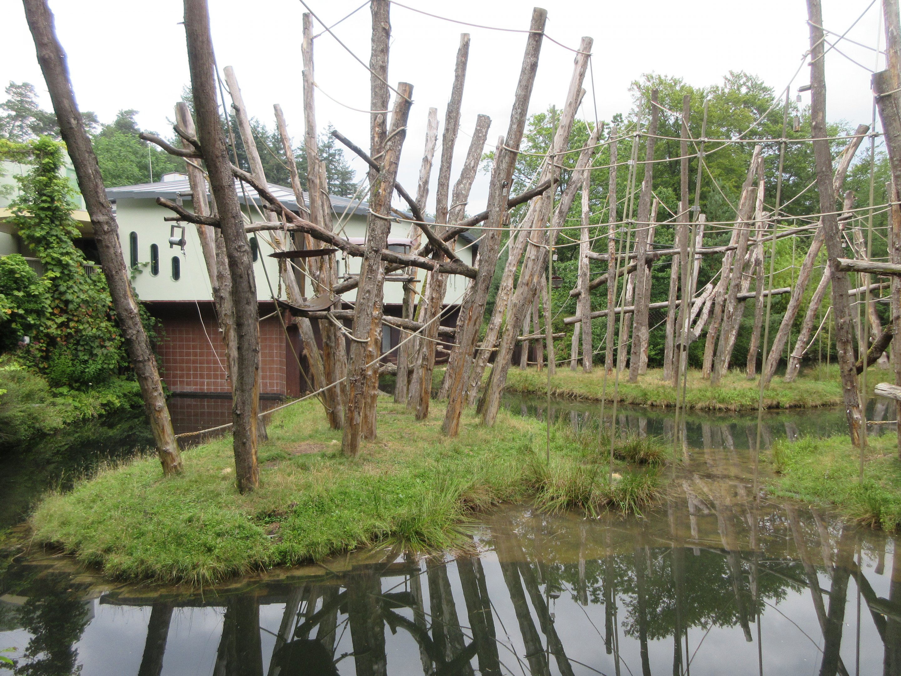Bornean Orangutan Exhibit (4 islands)