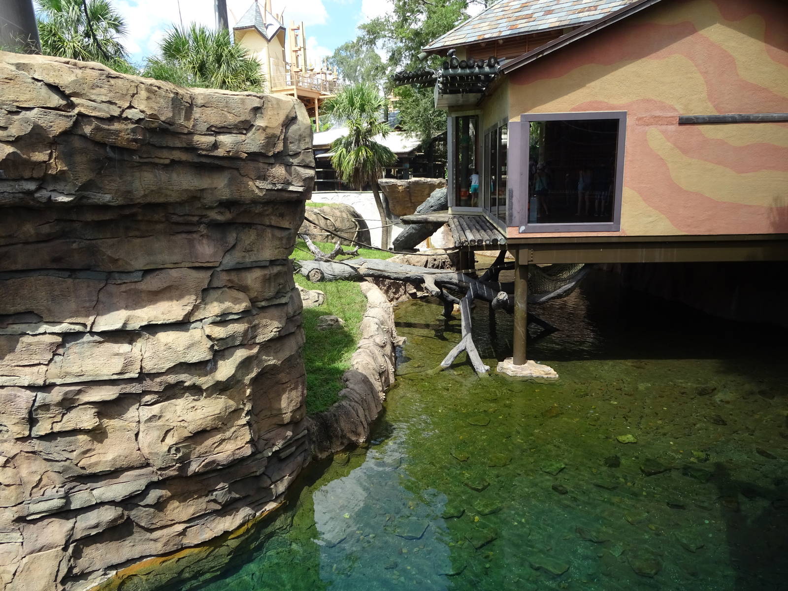 Bornean Orangutan Exhibit at Busch Gardens Tampa