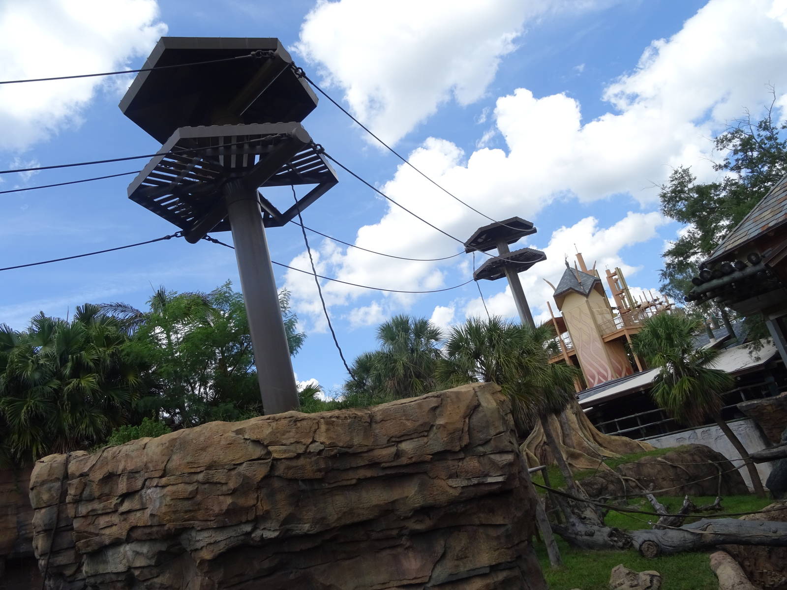 Bornean Orangutan Exhibit at Busch Gardens Tampa