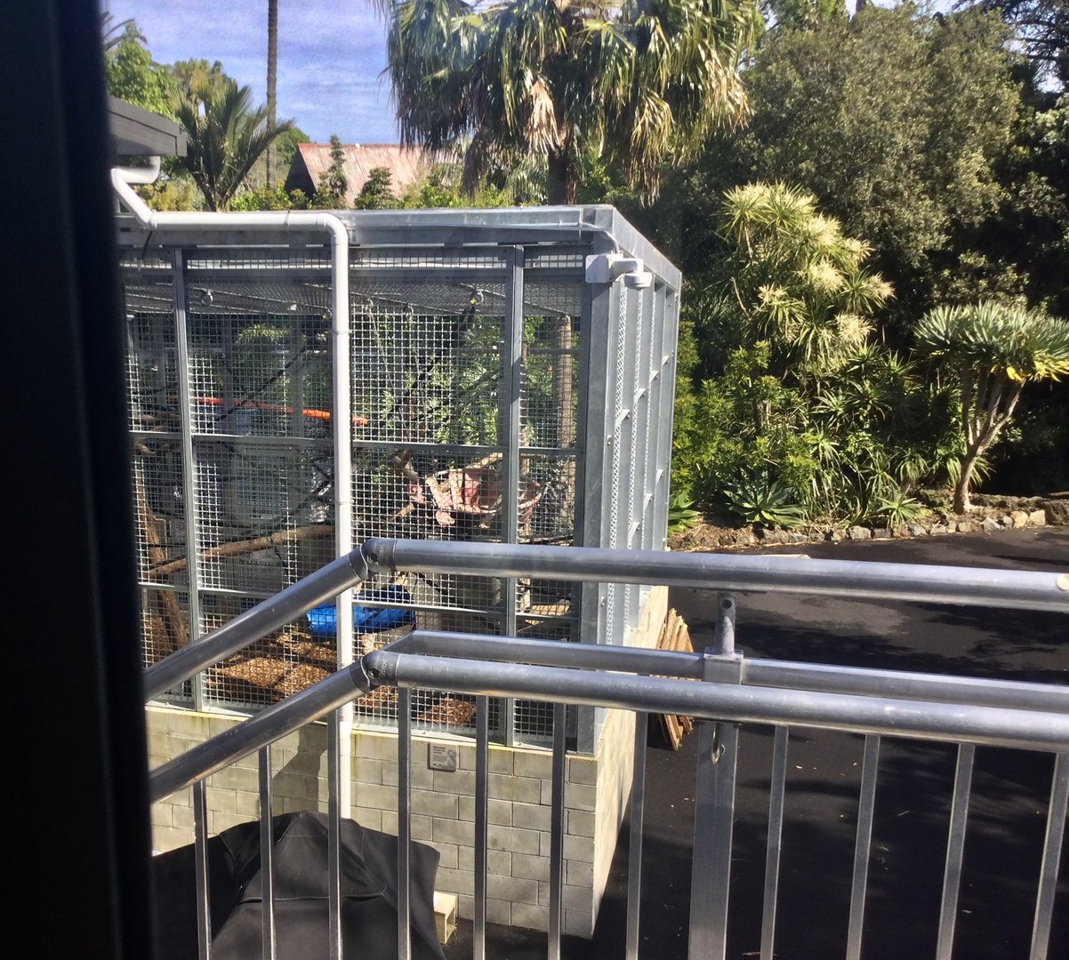 Bornean Orangutan Exhibit - Back of House (View from Boardwalk)