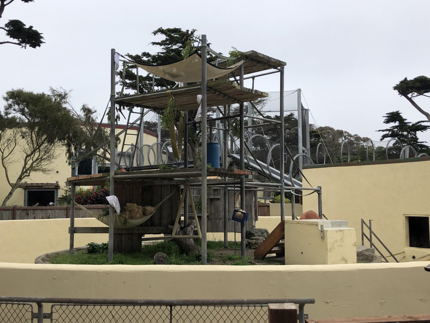 Bornean orangutan exhibit (former chimp grotto)