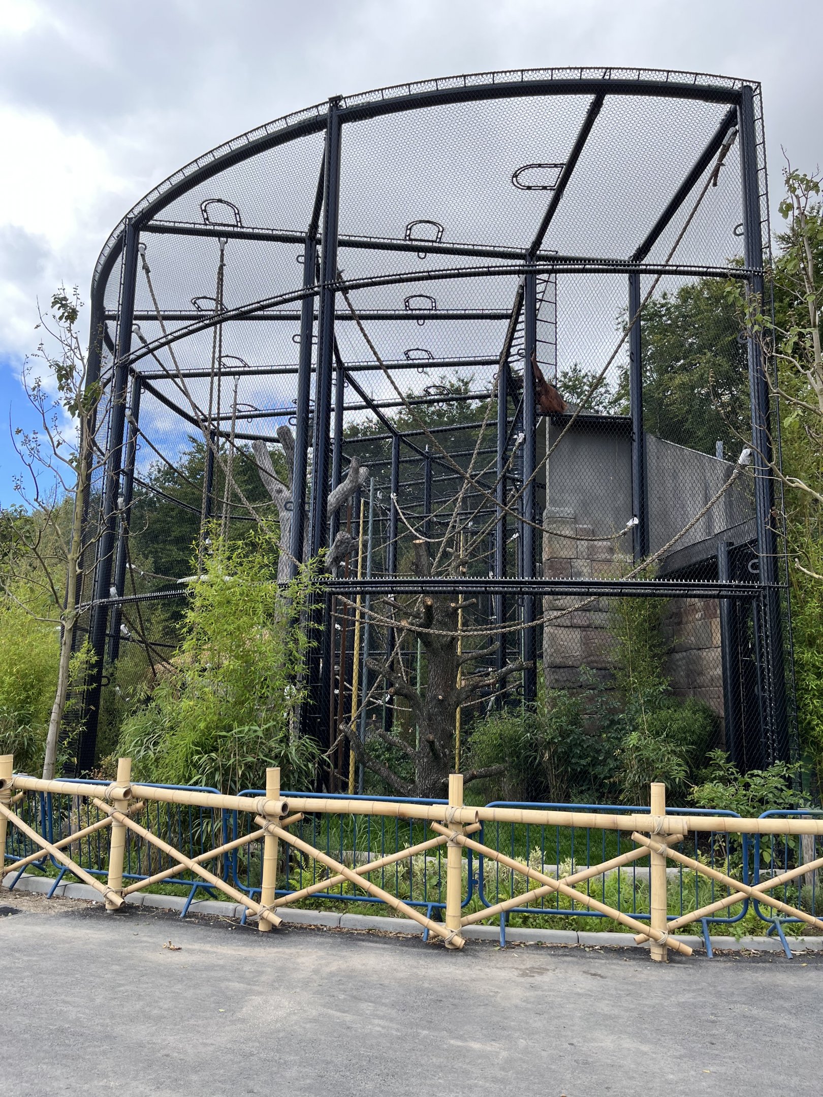 Bornean Orangutan Exhibit - New in 2022