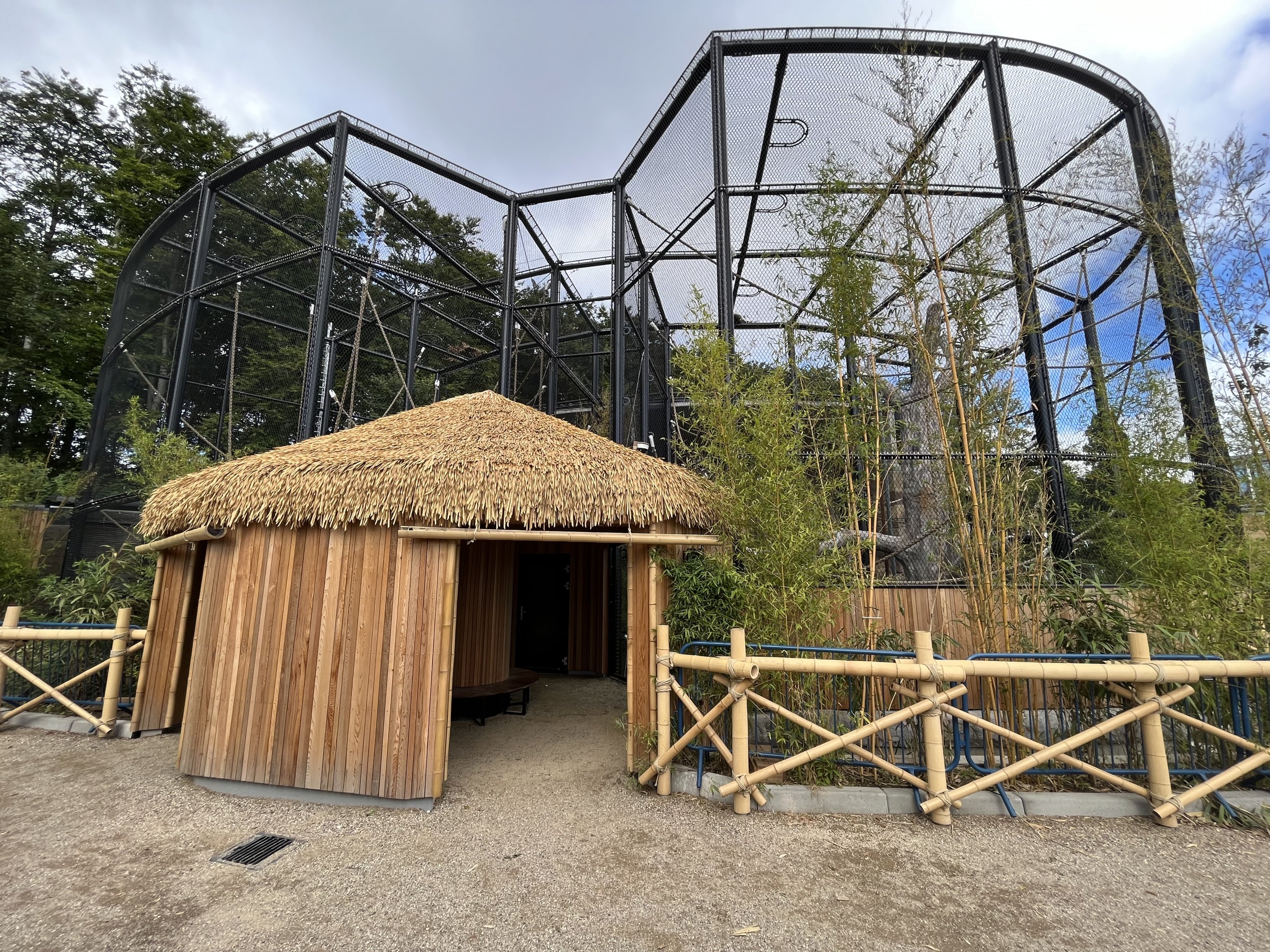 Bornean Orangutan Exhibit - New in 2022