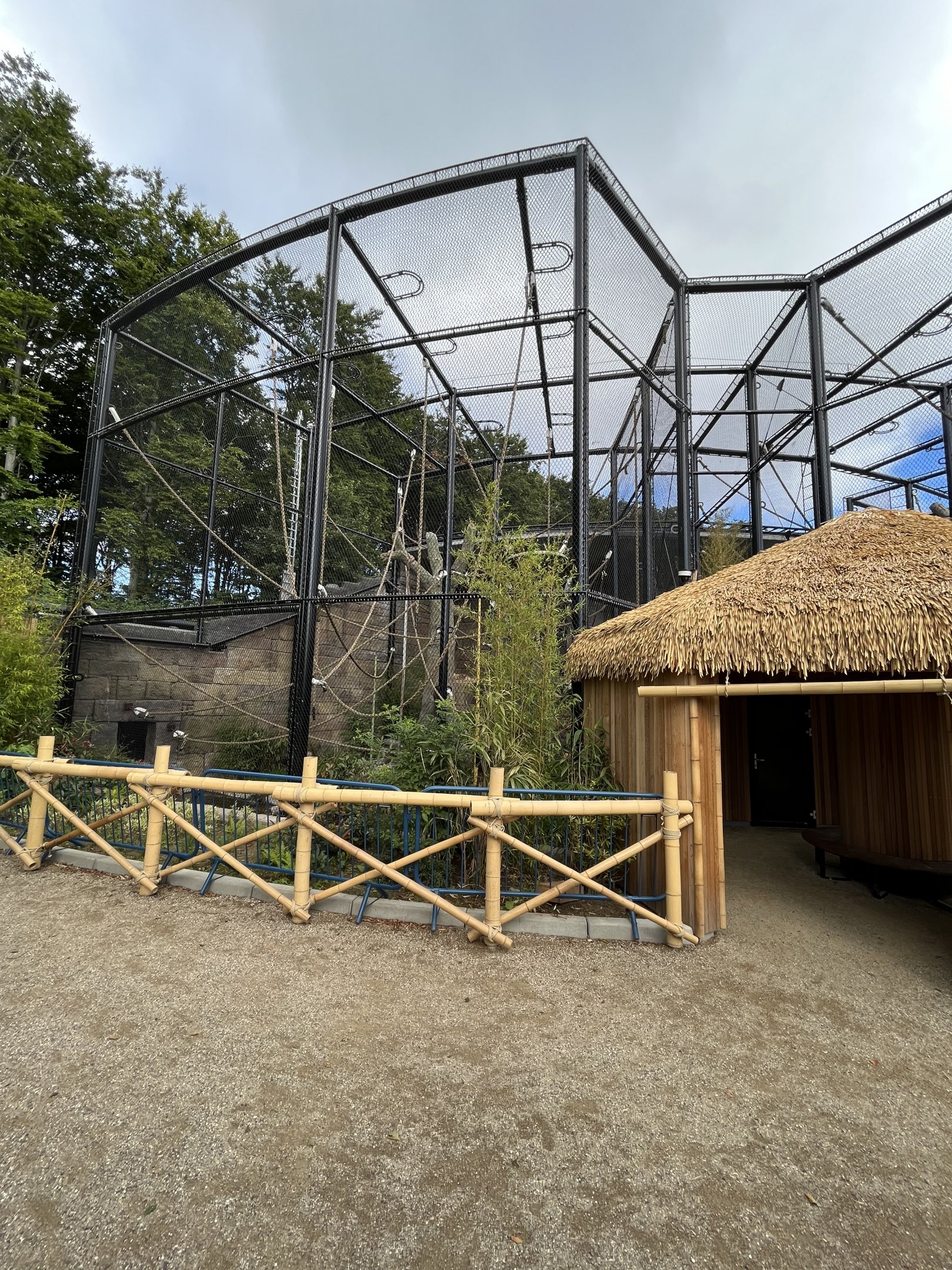 Bornean Orangutan Exhibit - New in 2022