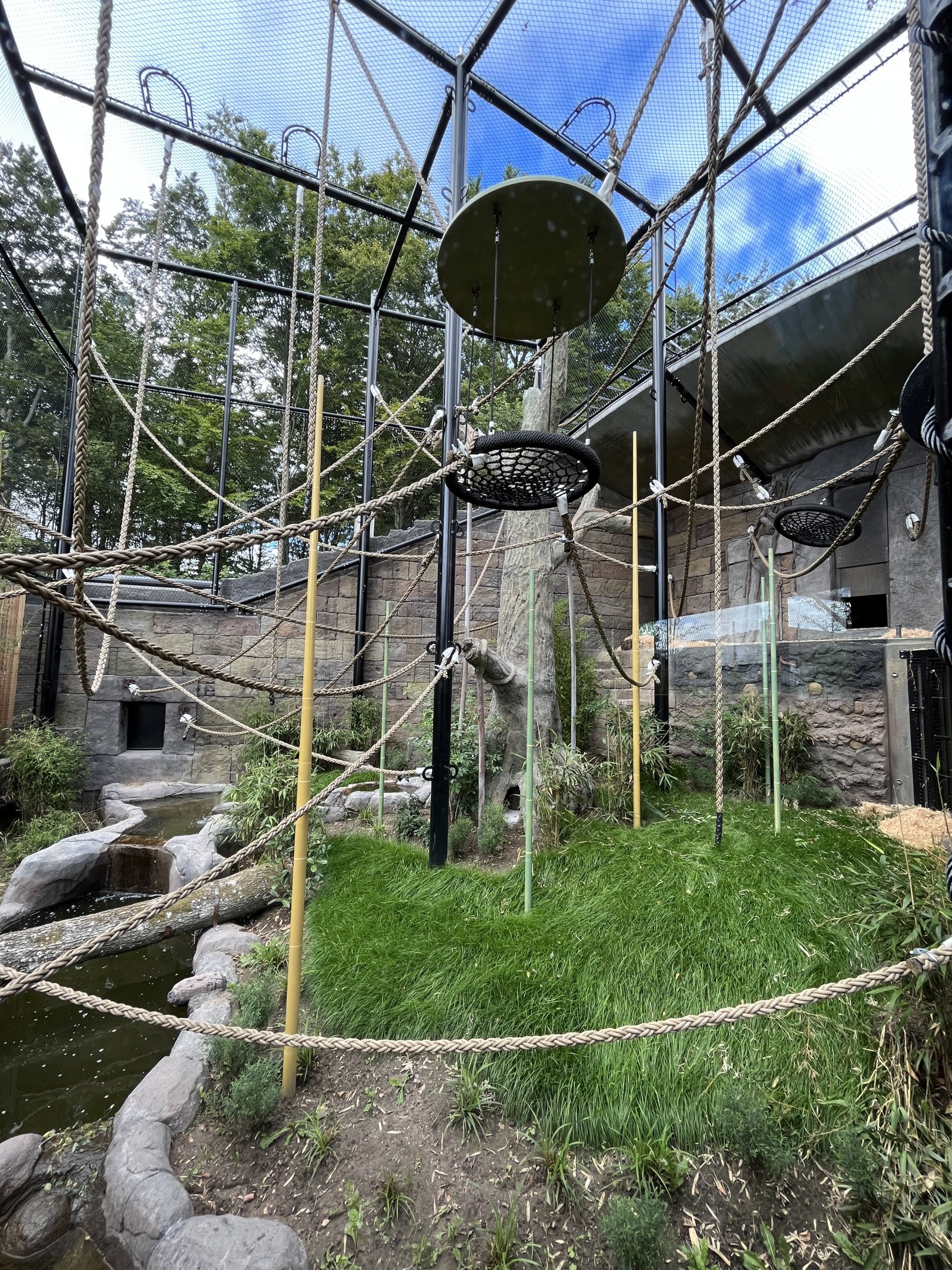 Bornean Orangutan Exhibit - New in 2022