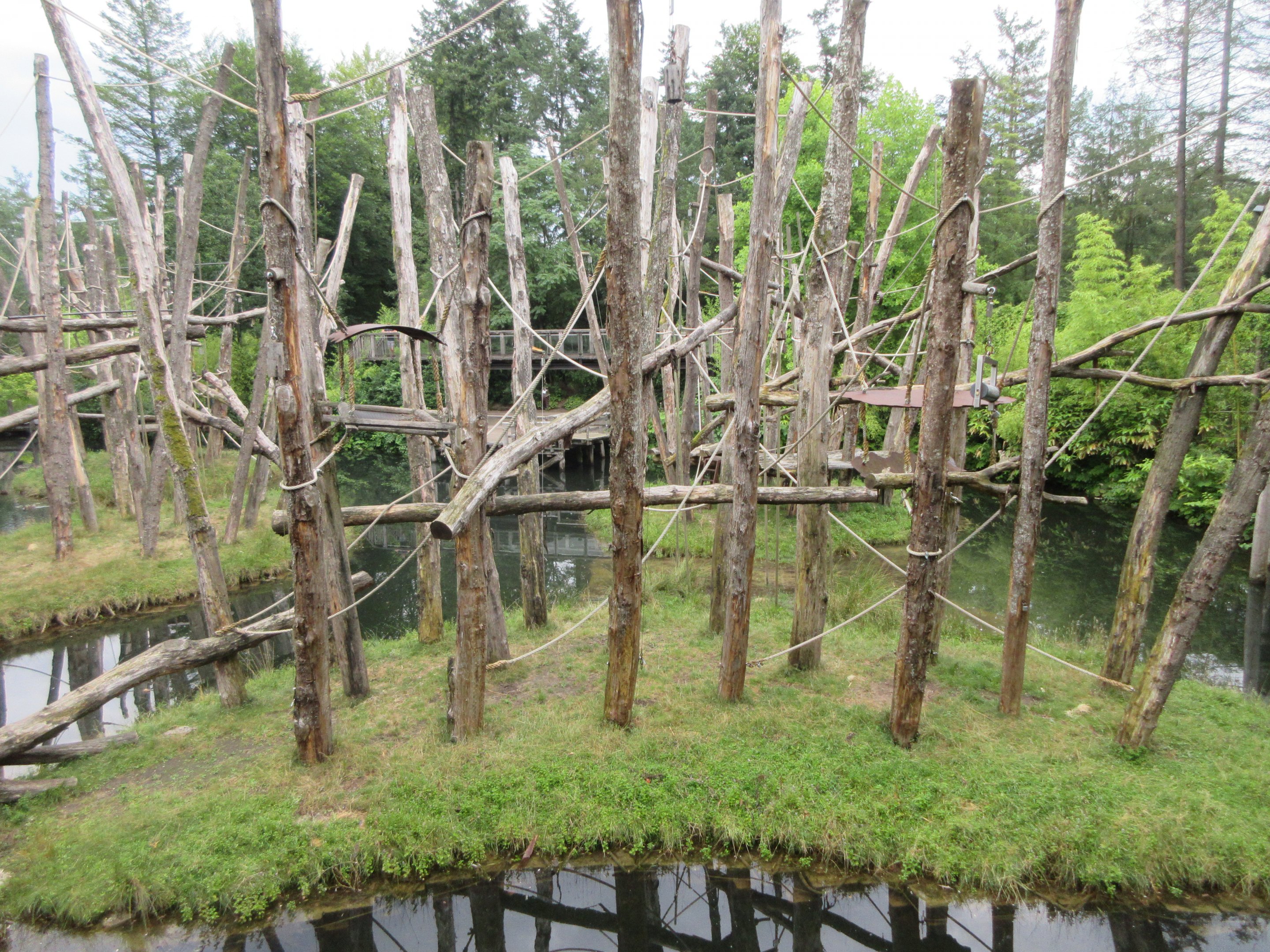 Bornean Orangutan Exhibit (one section)