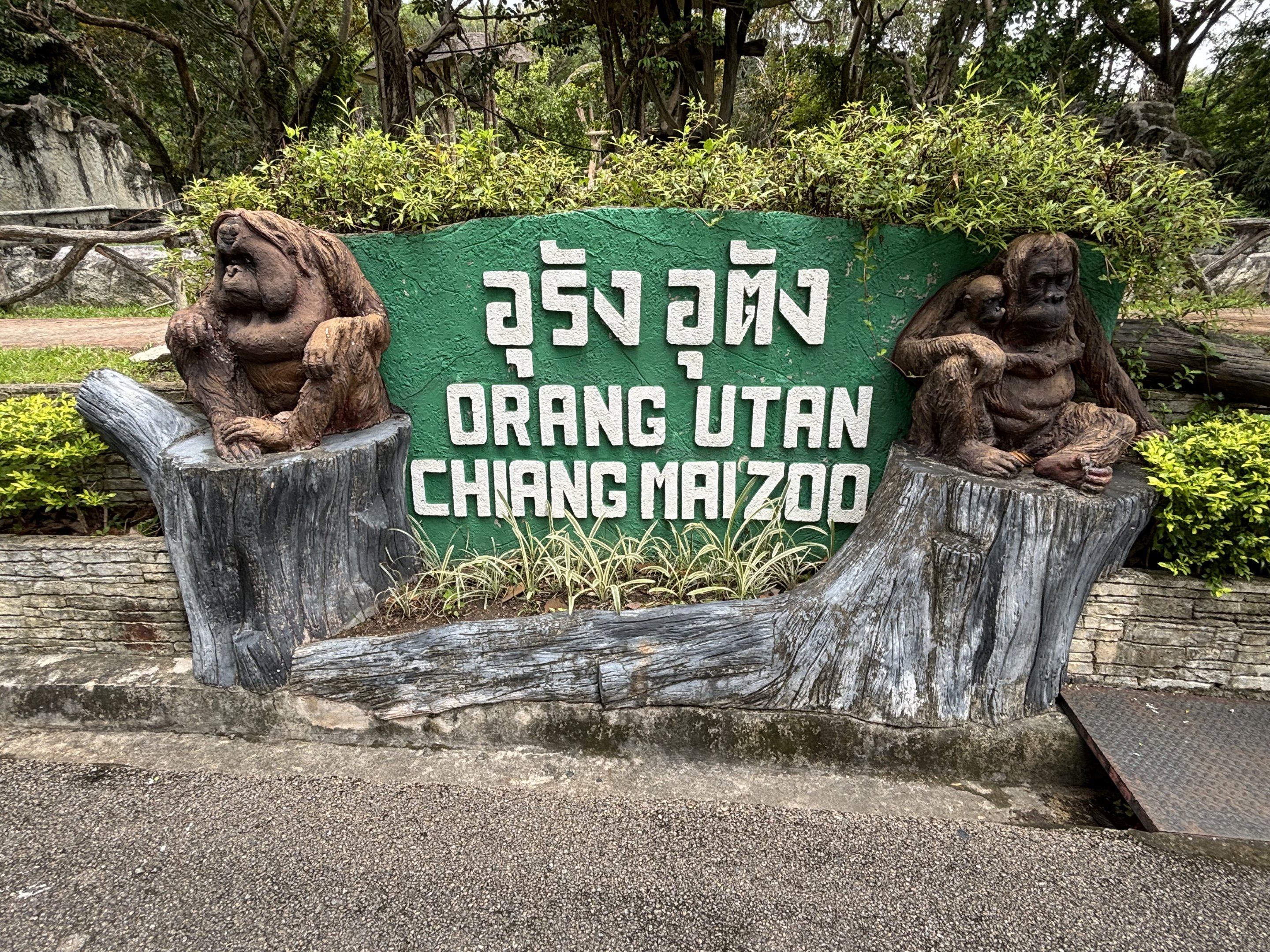 Bornean Orangutan Exhibit Sign