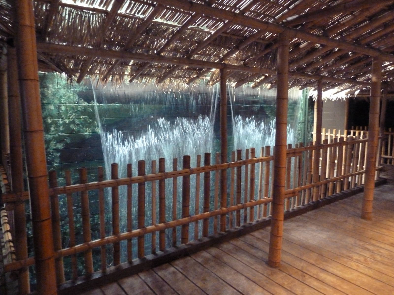 Bornean Orangutan Exhibit - Waterfall Near Indoor Ape Area