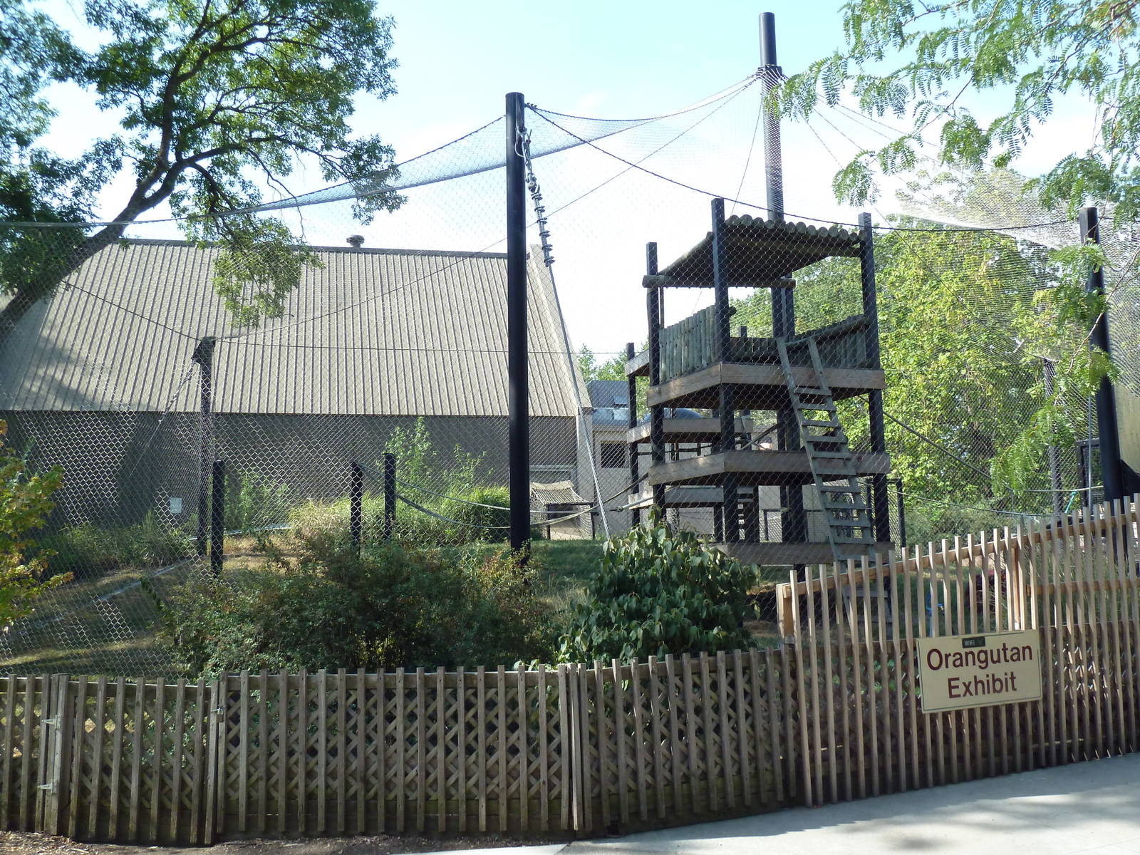 Bornean Orangutan Exhibit