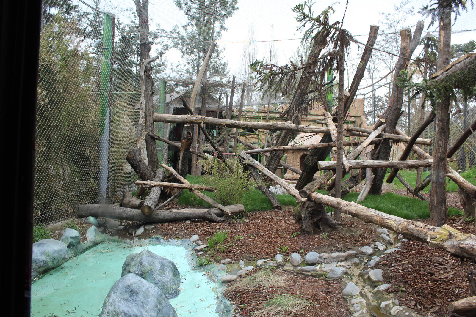 Bornean Orangutan Exhibit