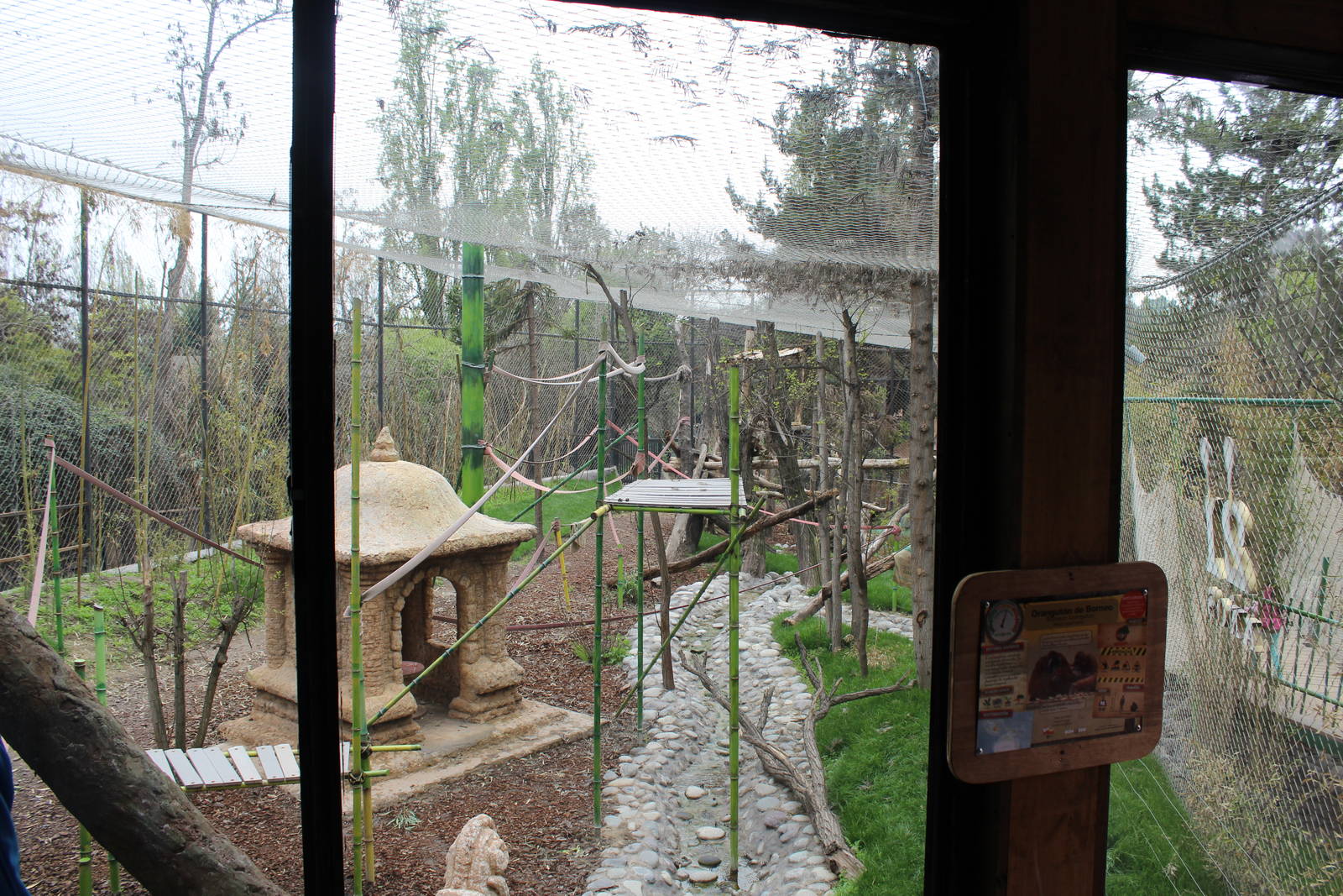 Bornean Orangutan Exhibit