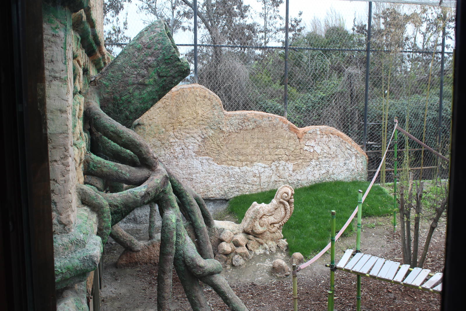 Bornean Orangutan Exhibit