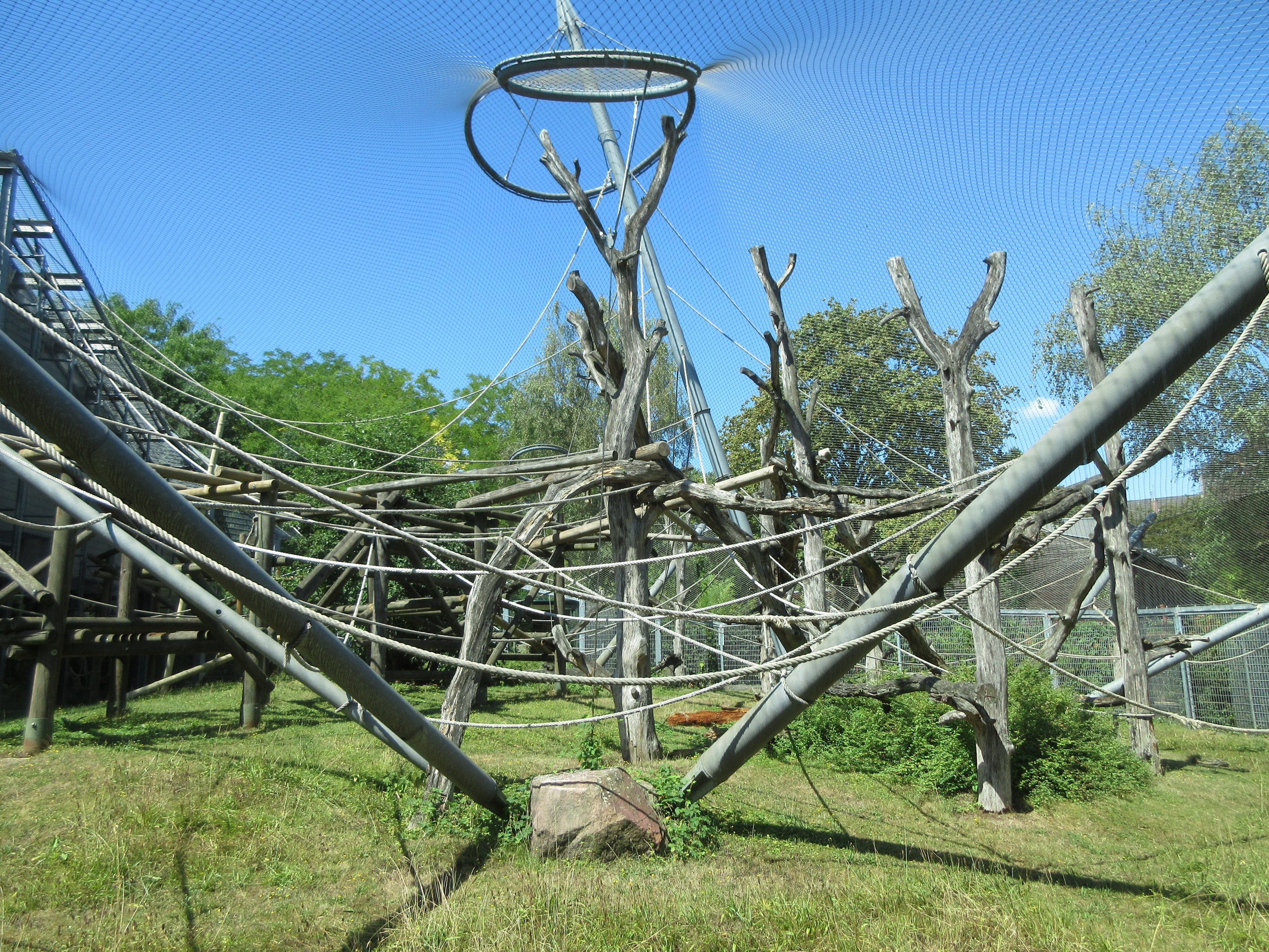 Bornean Orangutan Exhibit