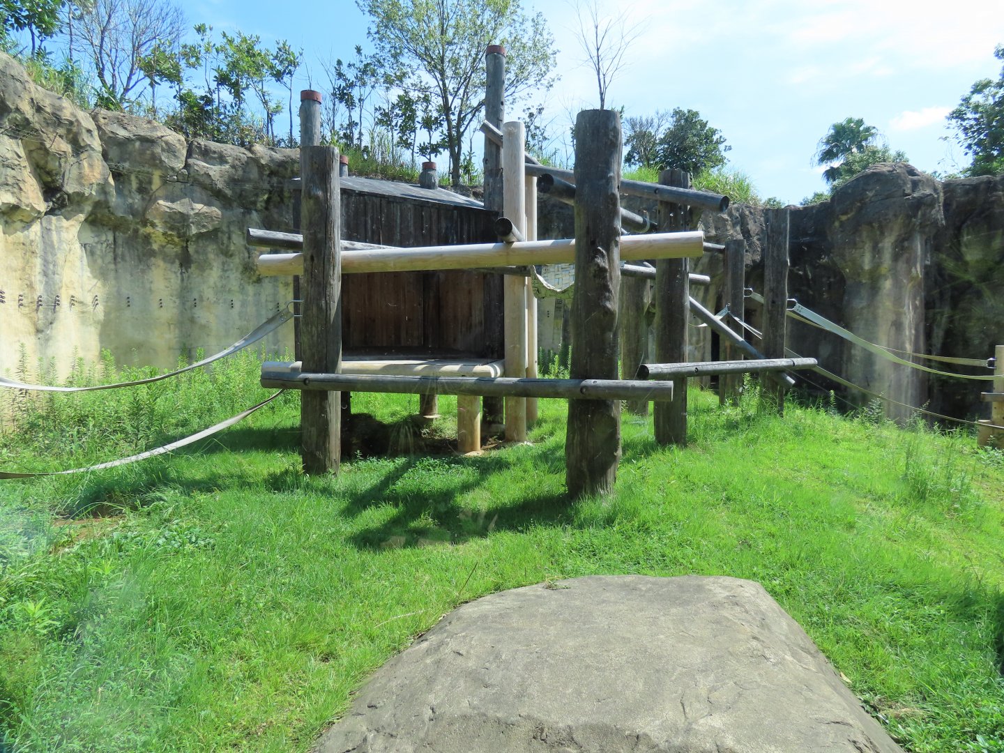 Bornean orangutan exhibit