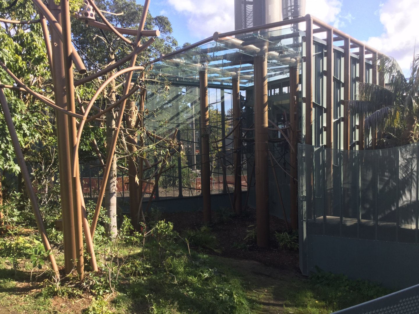 Bornean Orangutan Exhibit