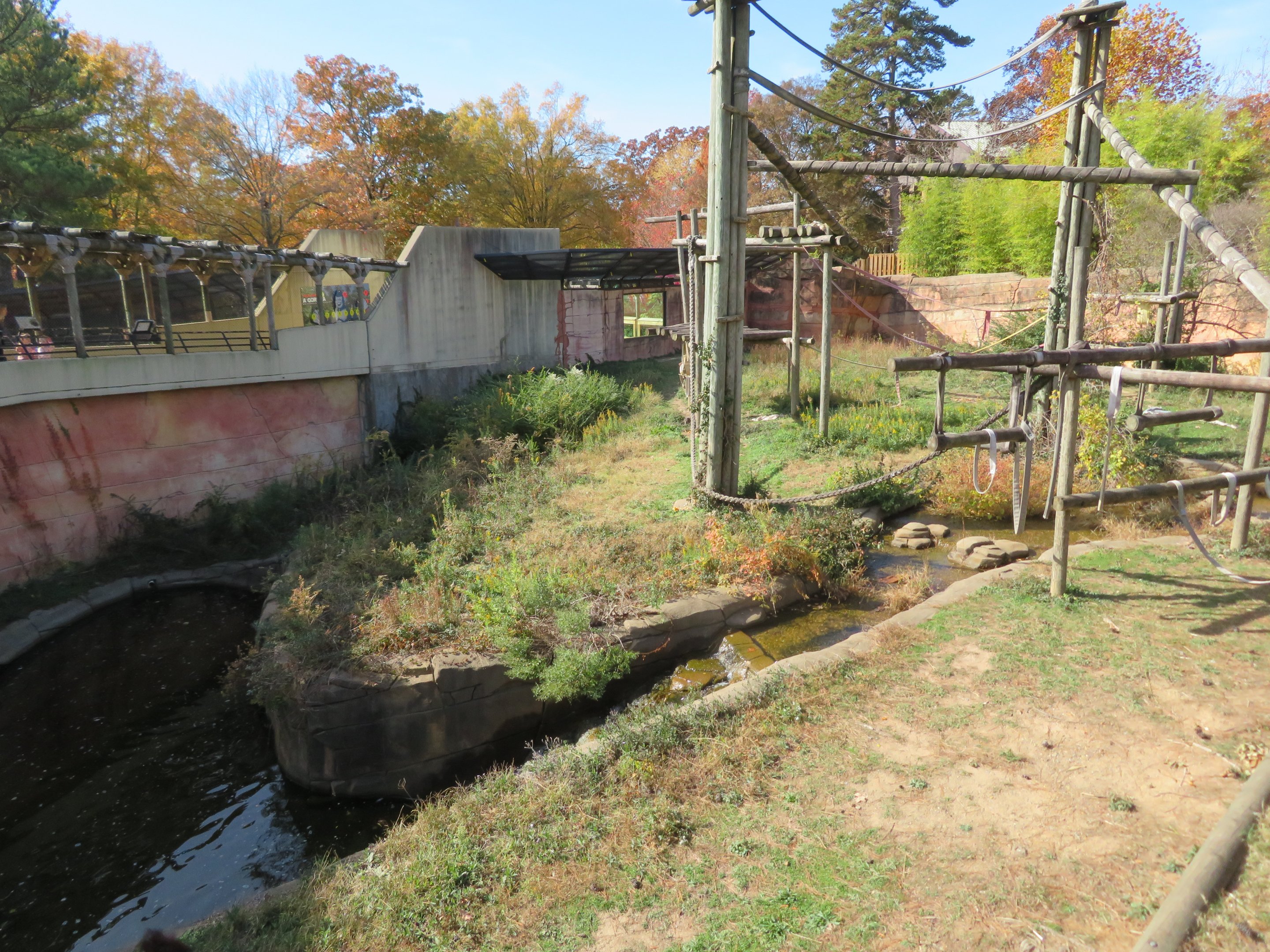 Bornean Orangutan Exhibit