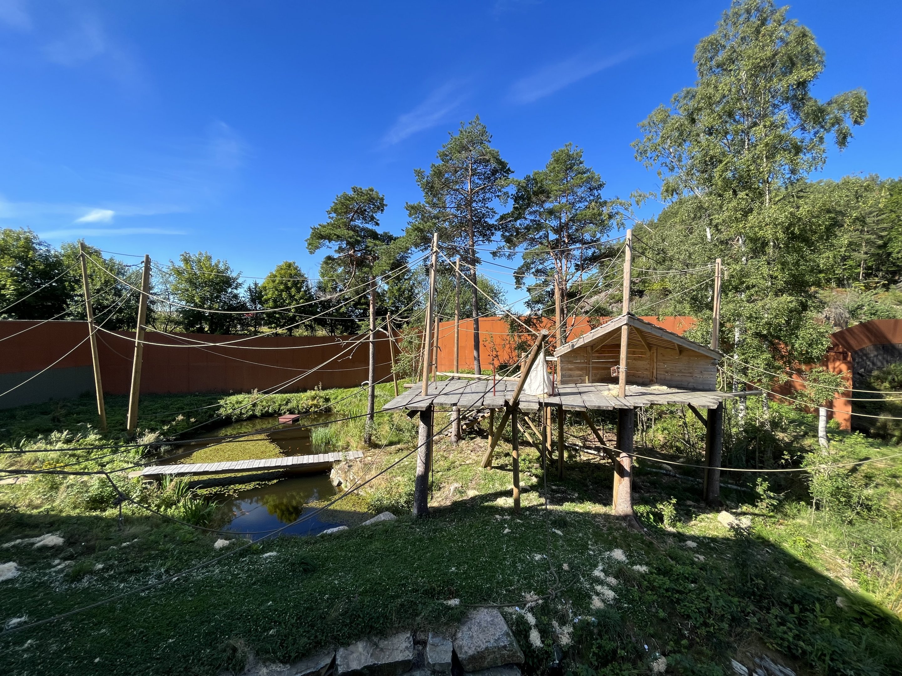 Bornean Orangutan Exhibit