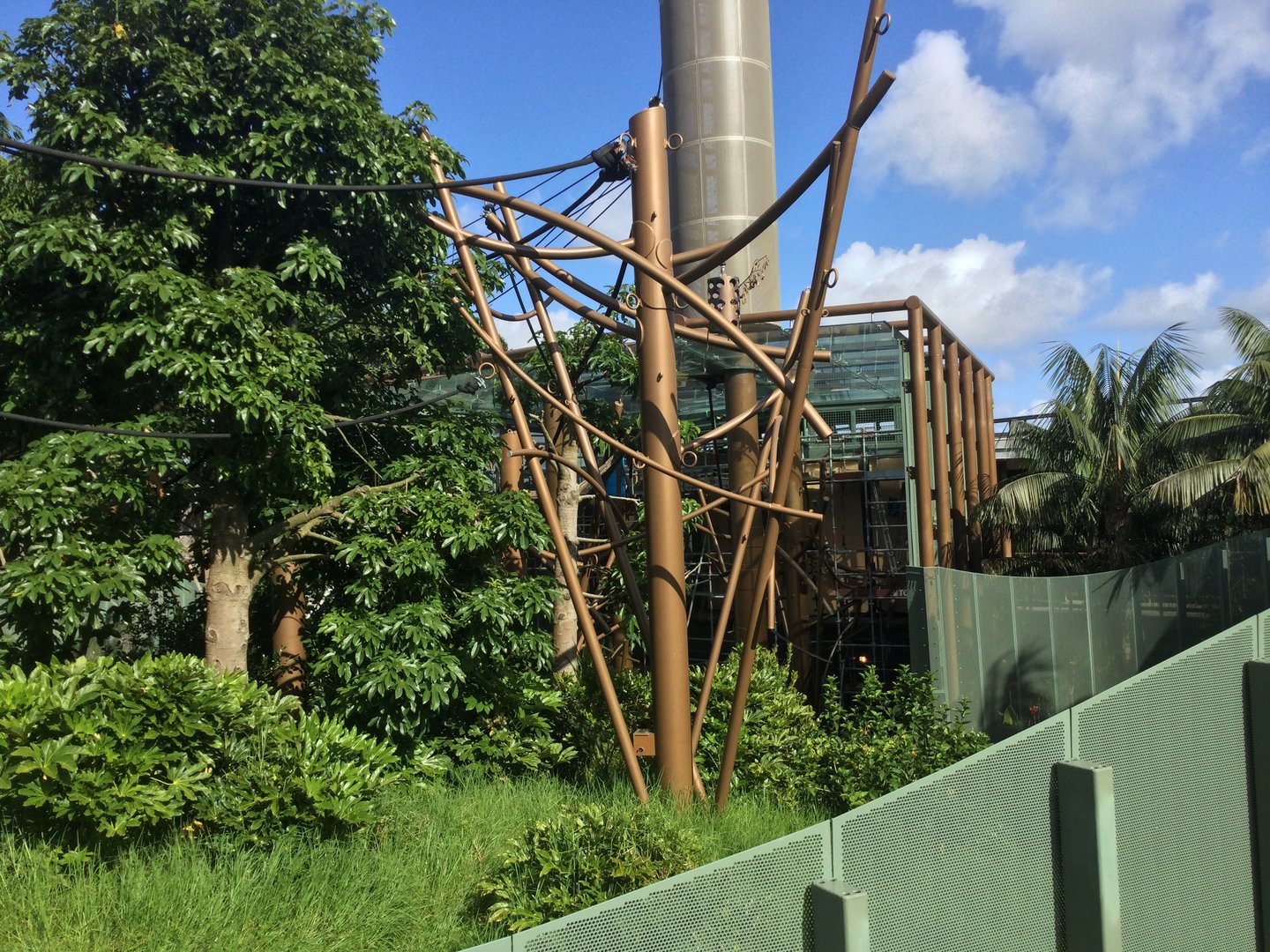 Bornean Orangutan Exhibit