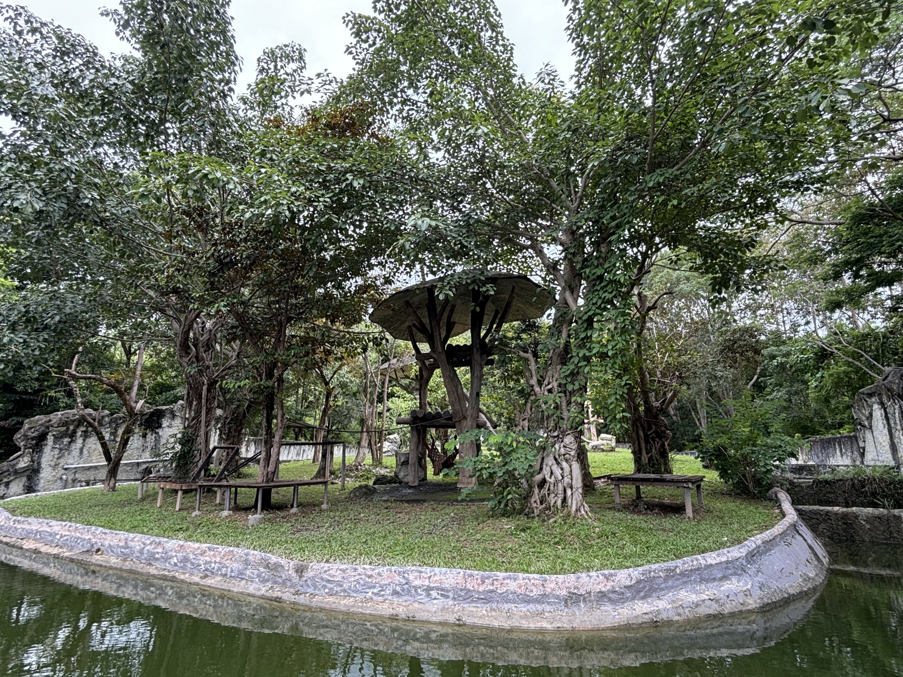 Bornean Orangutan Exhibit