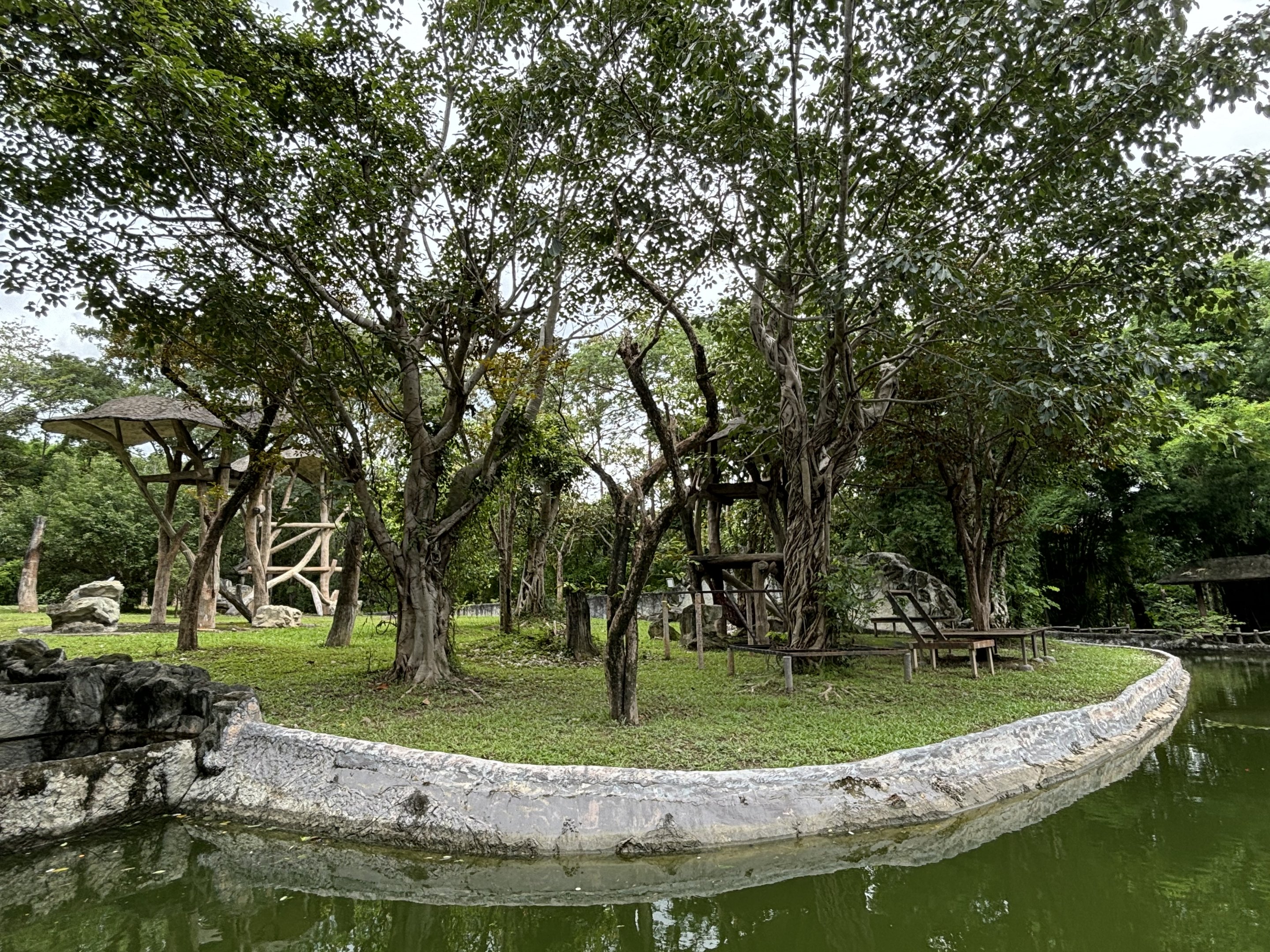 Bornean Orangutan Exhibit