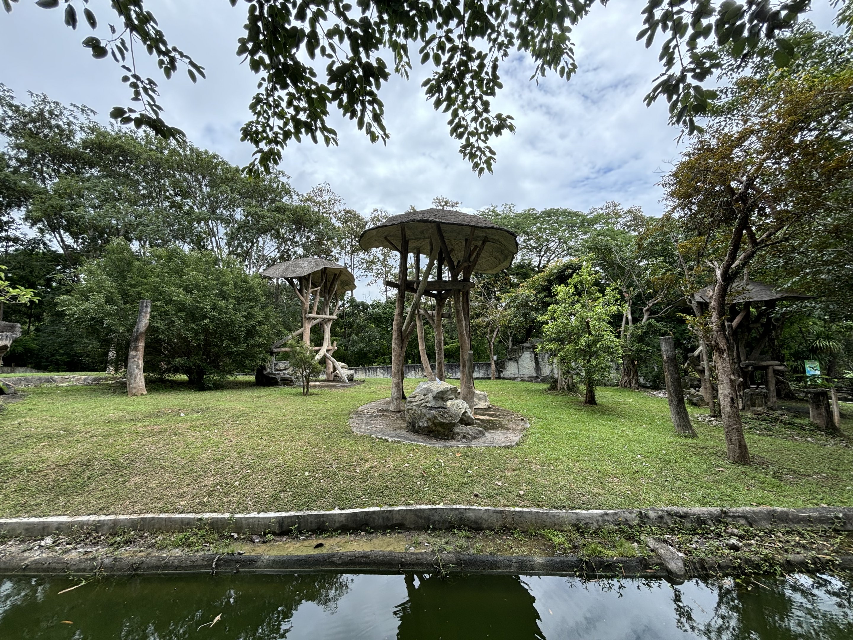 Bornean Orangutan Exhibit