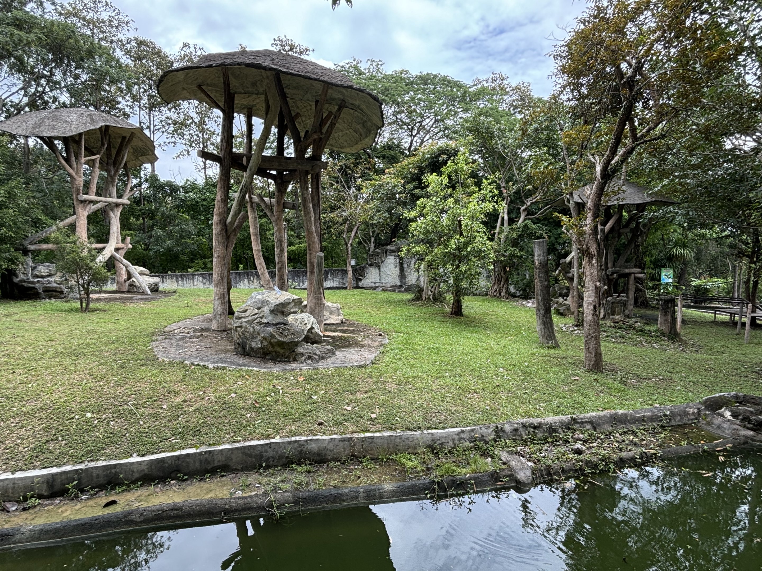 Bornean Orangutan Exhibit