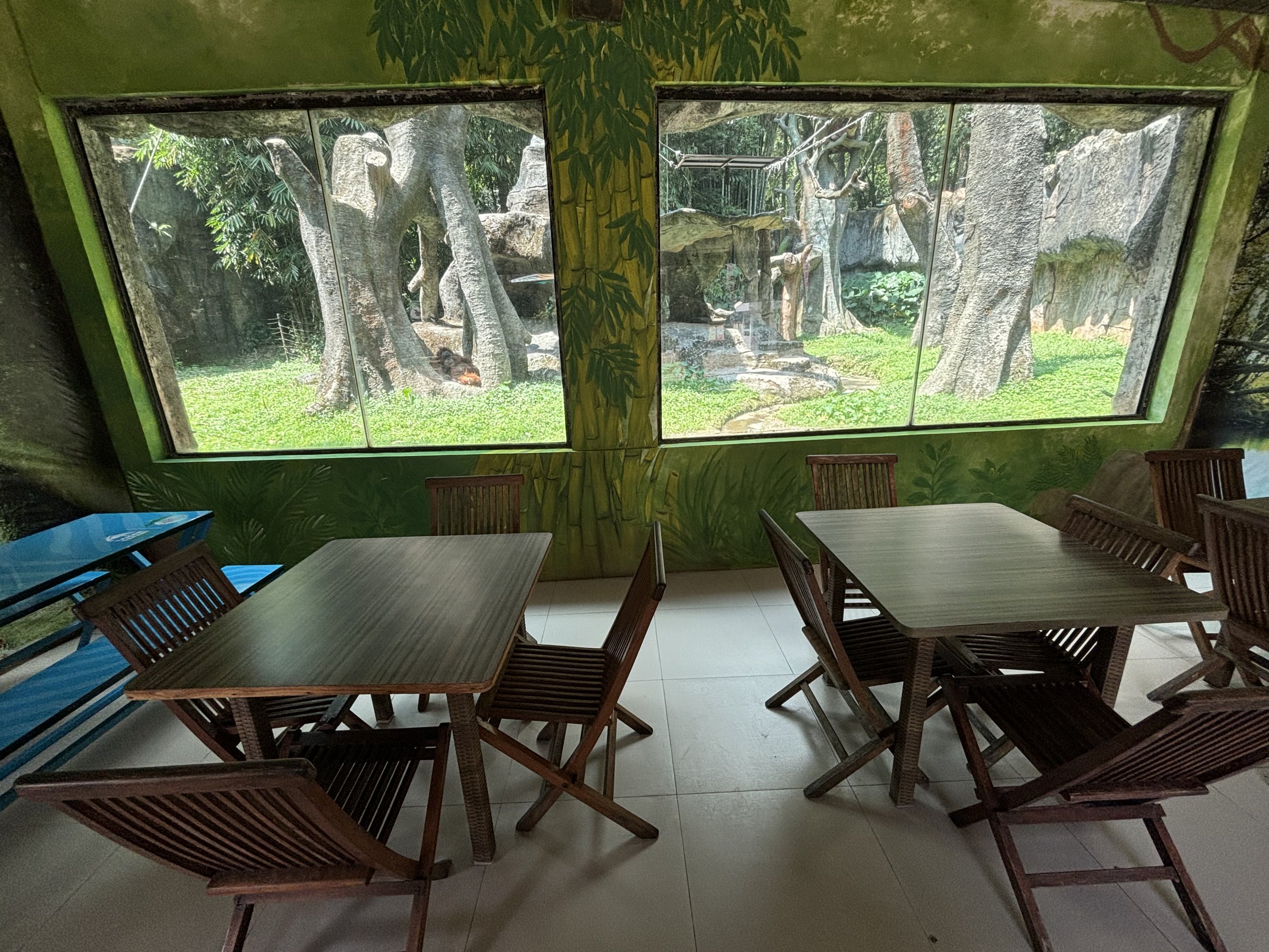 Bornean Orangutan Exhibit